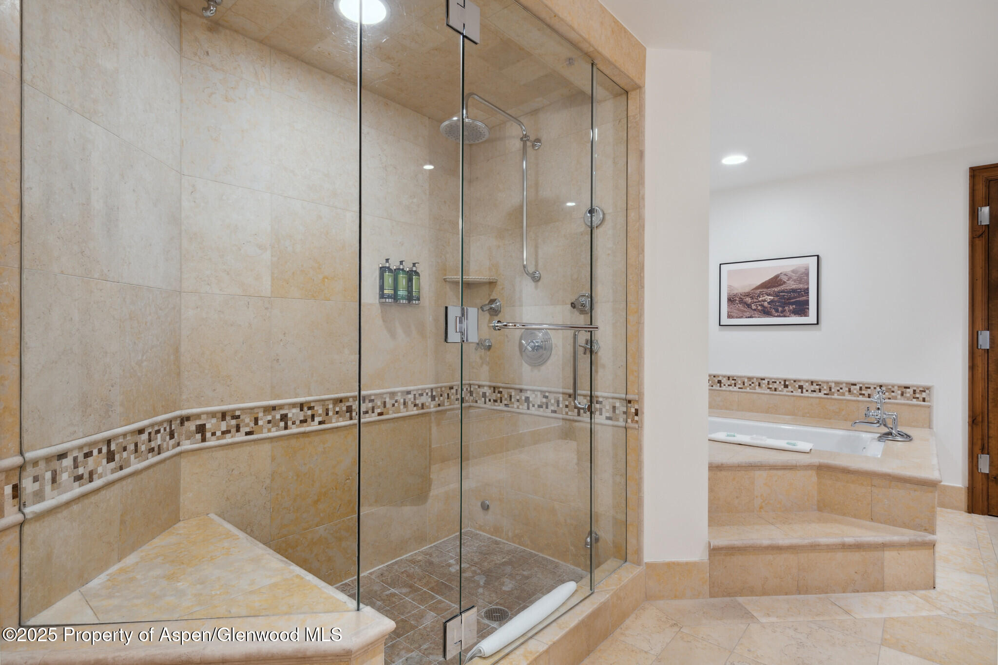 415 E Dean Street, Unit 38, Week 33 Aspen CO 81611