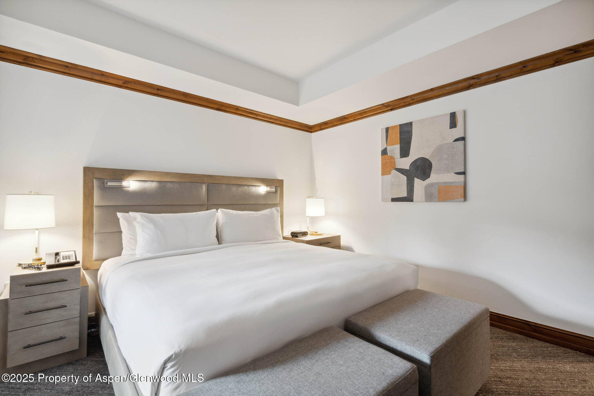 415 E Dean Street, Unit 38, Week 33 Aspen CO 81611