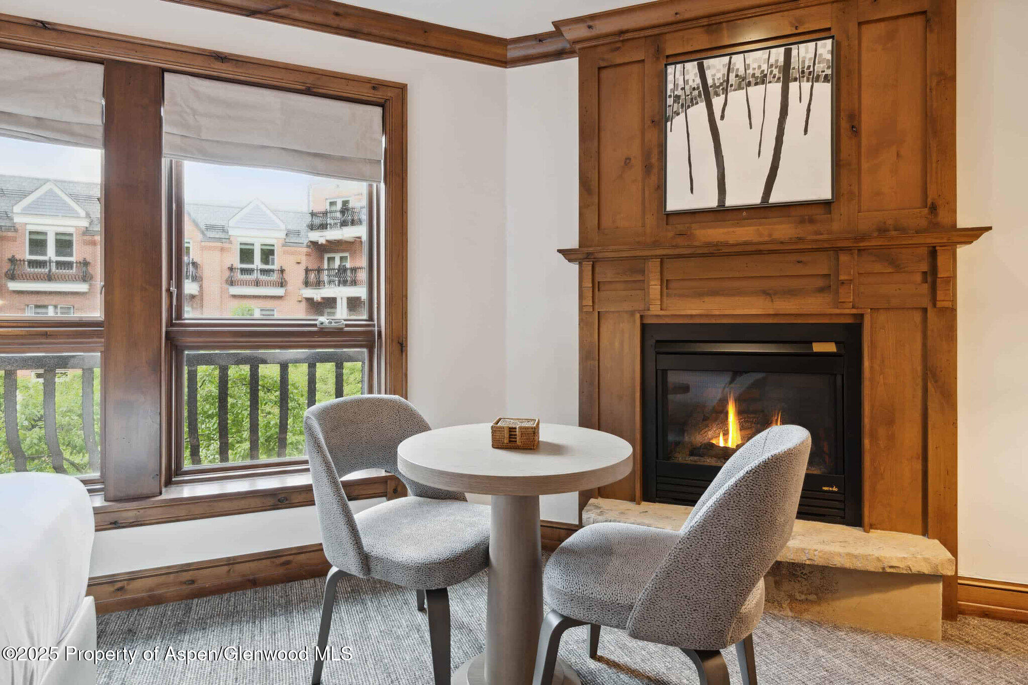 415 E Dean Street, Unit 38, Week 33 Aspen CO 81611