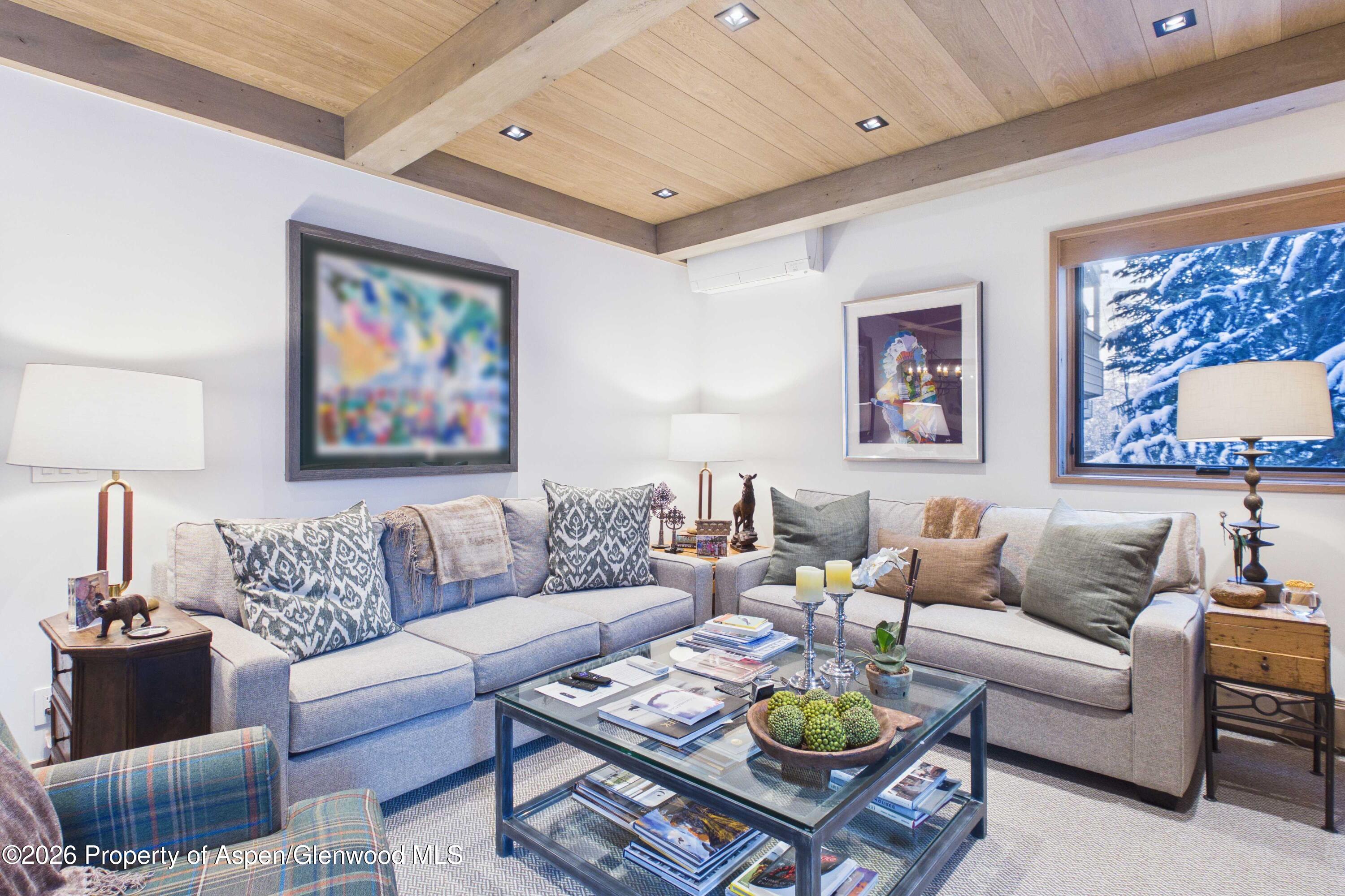 610 S West End Street Aspen CO 81611