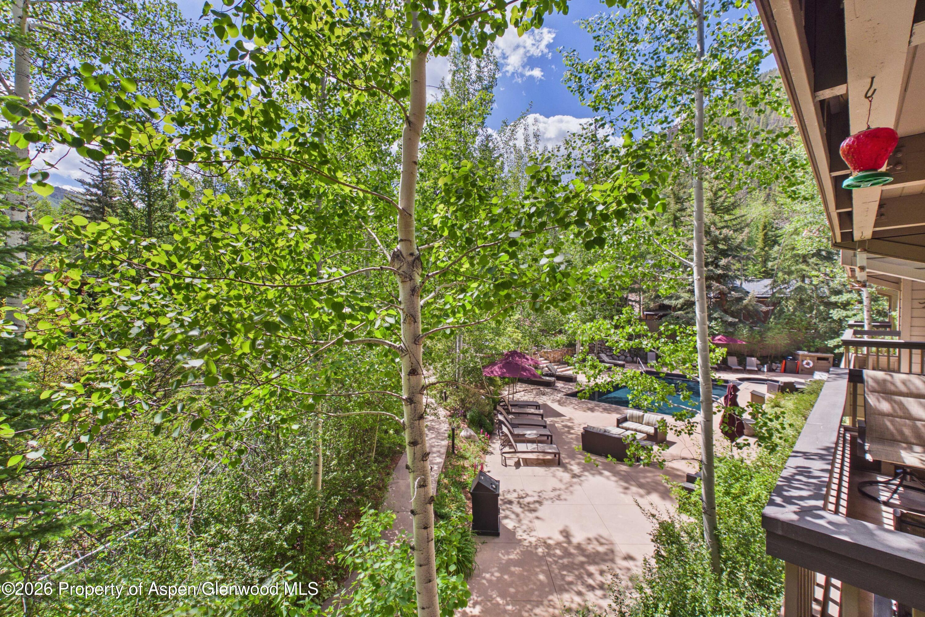 610 S West End Street Aspen CO 81611