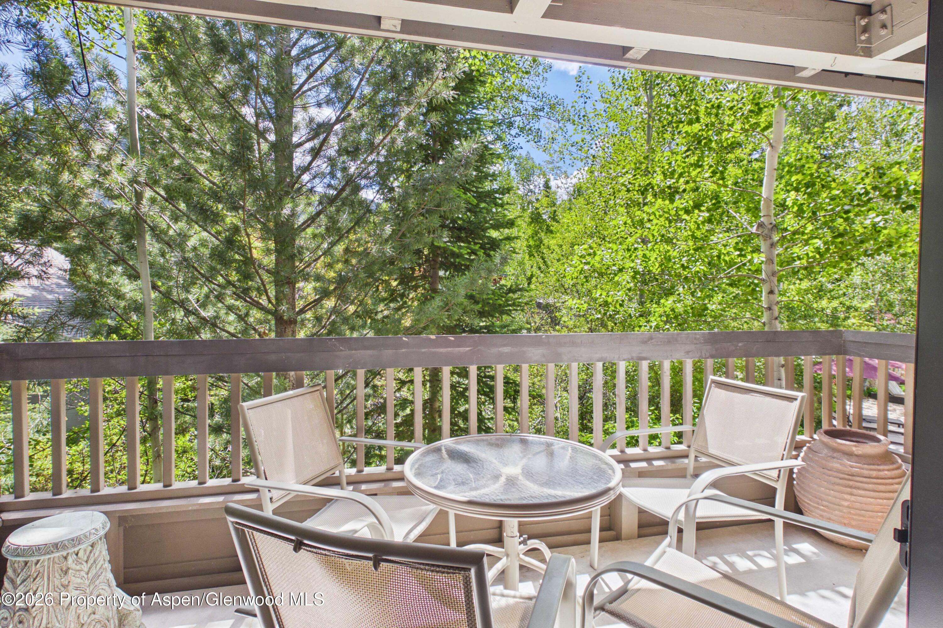 610 S West End Street Aspen CO 81611