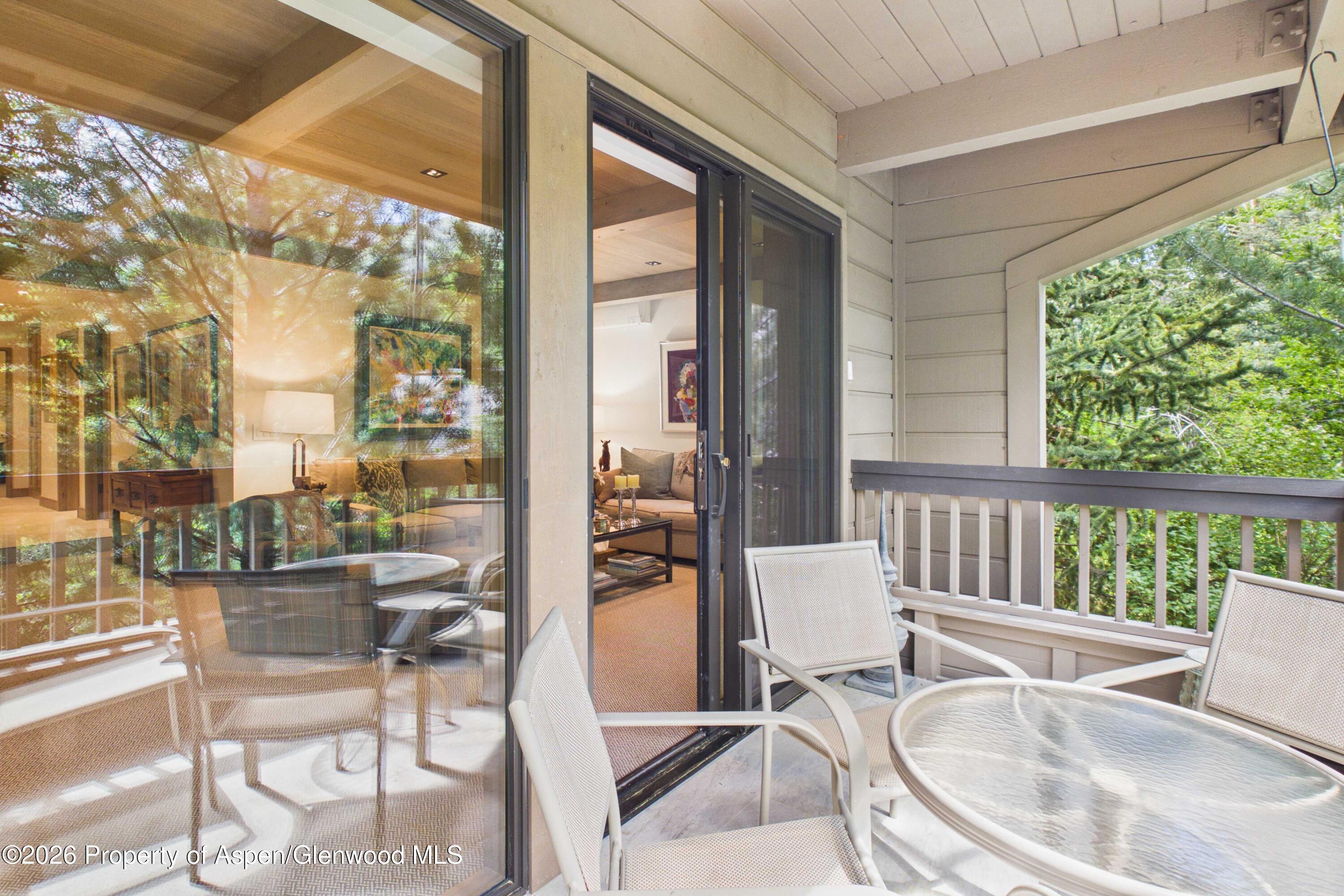 610 S West End Street Aspen CO 81611