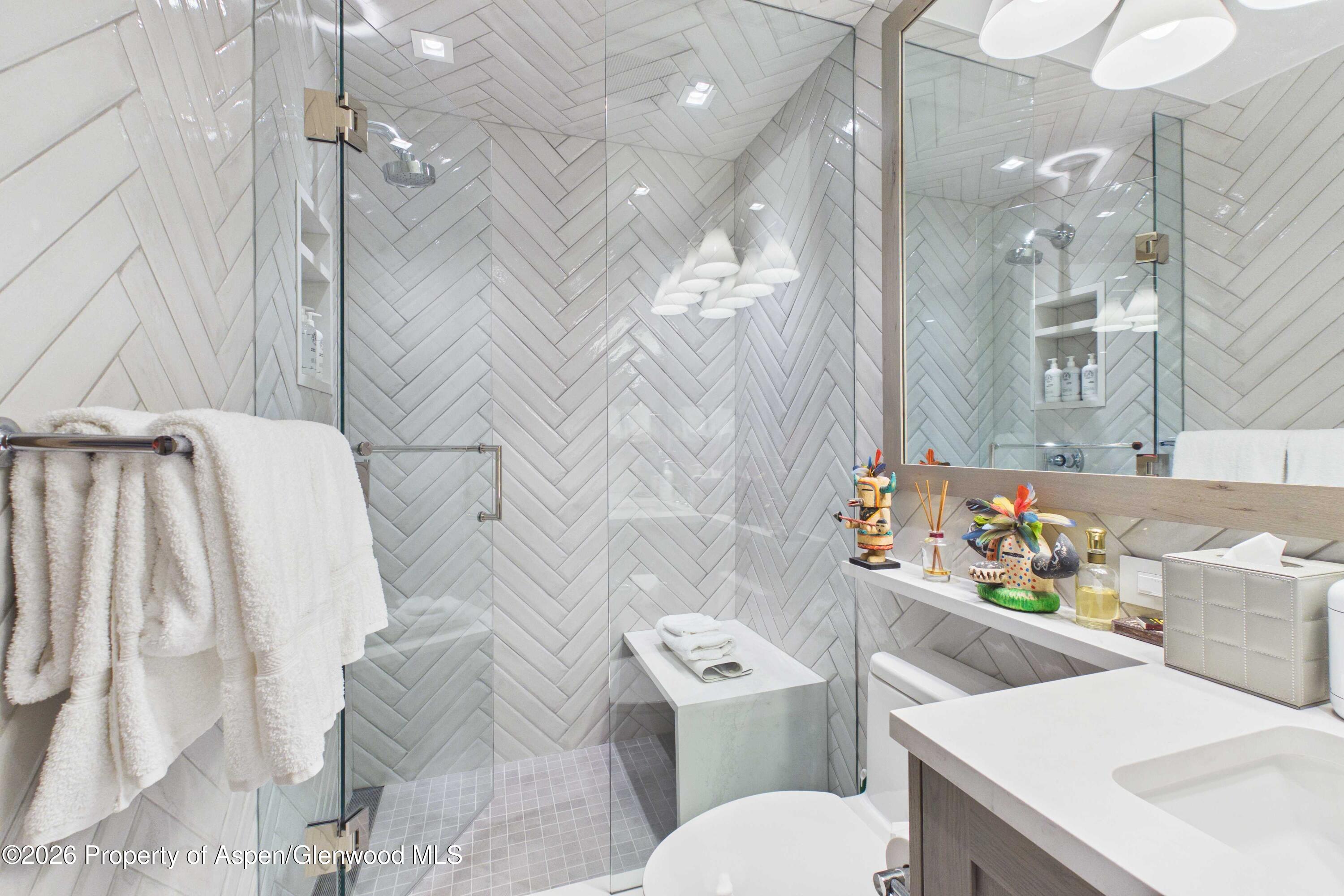 610 S West End Street Aspen CO 81611