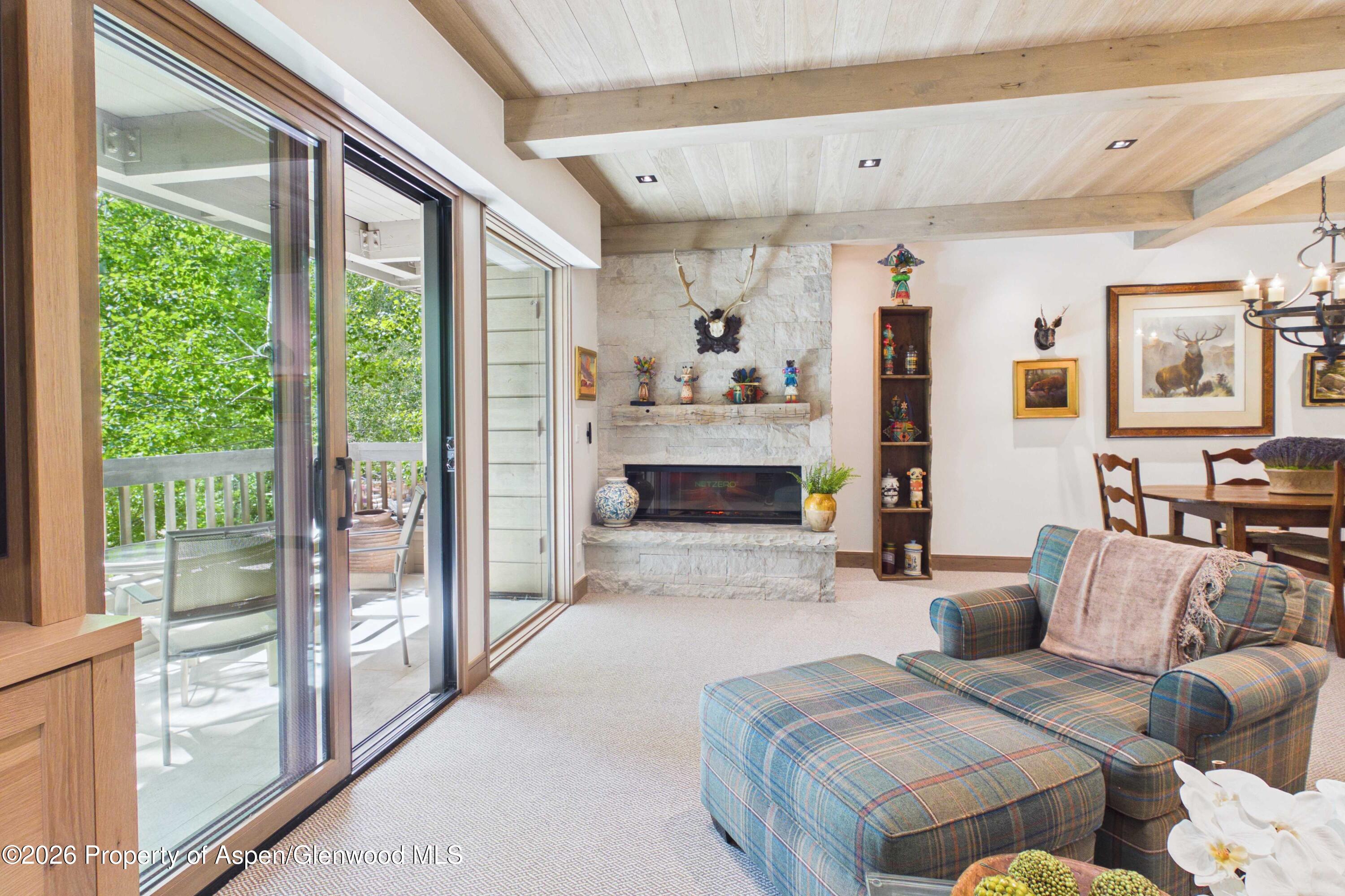 610 S West End Street Aspen CO 81611