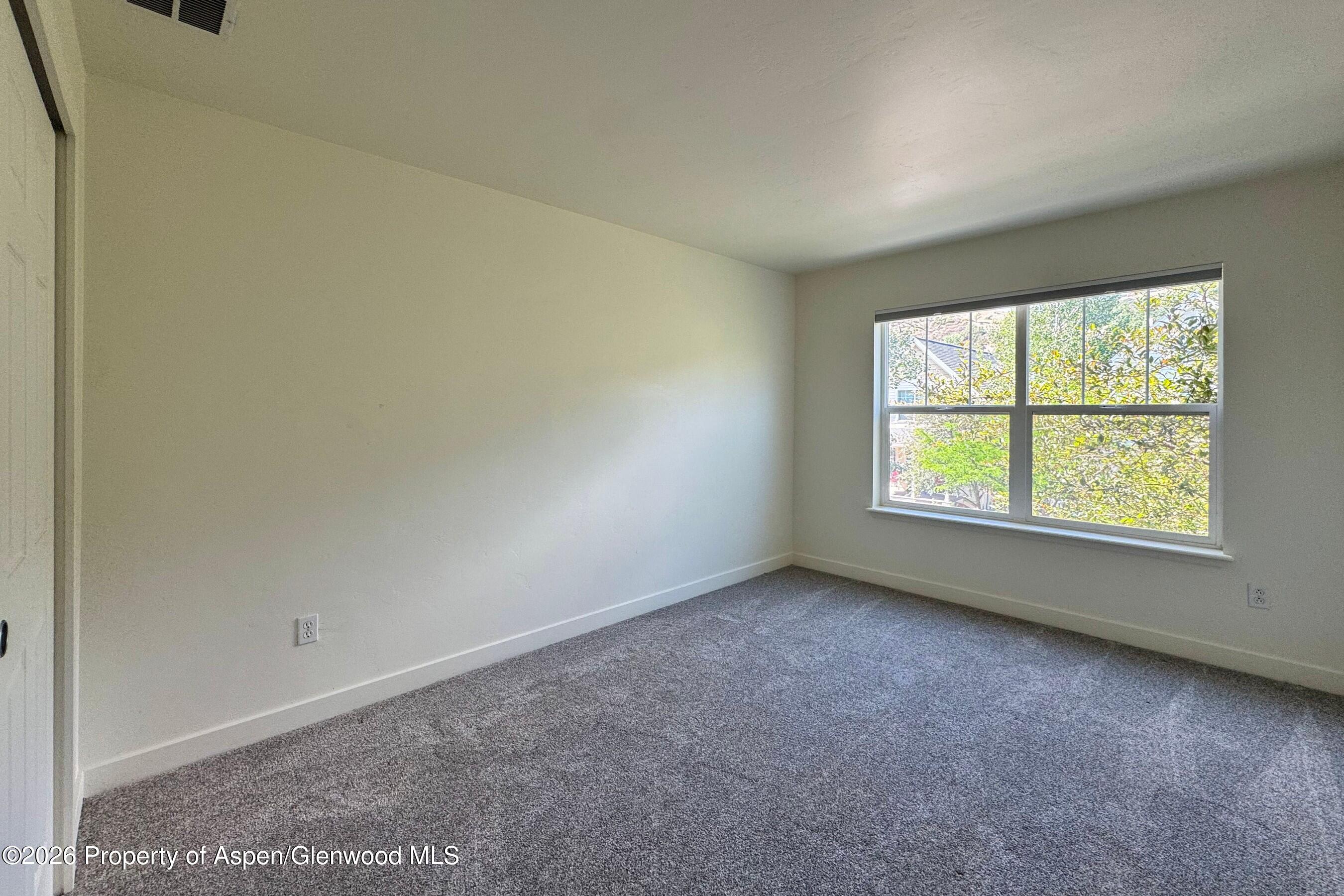 1416 Darrow Alley Glenwood Springs CO 81601