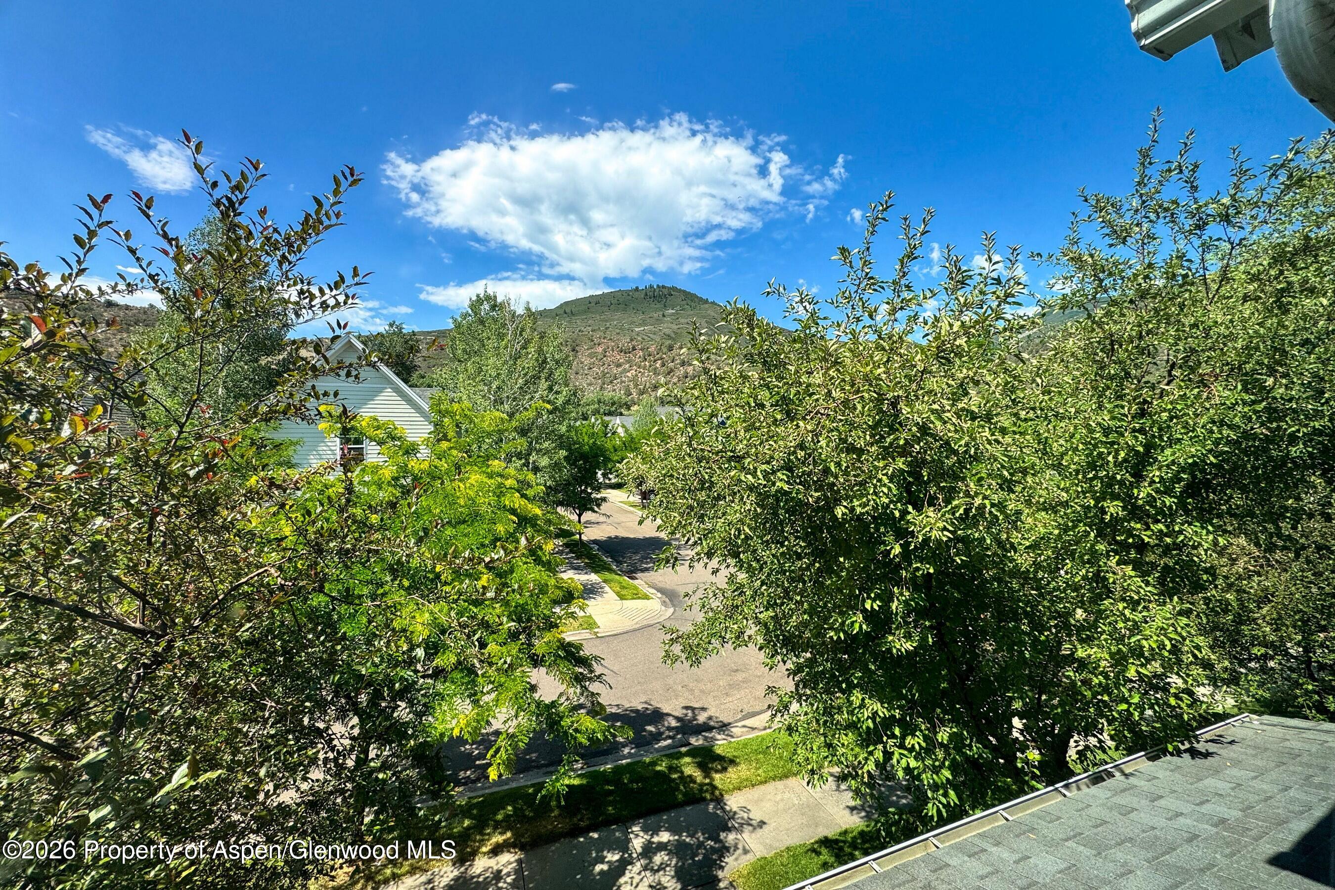1416 Darrow Alley Glenwood Springs CO 81601