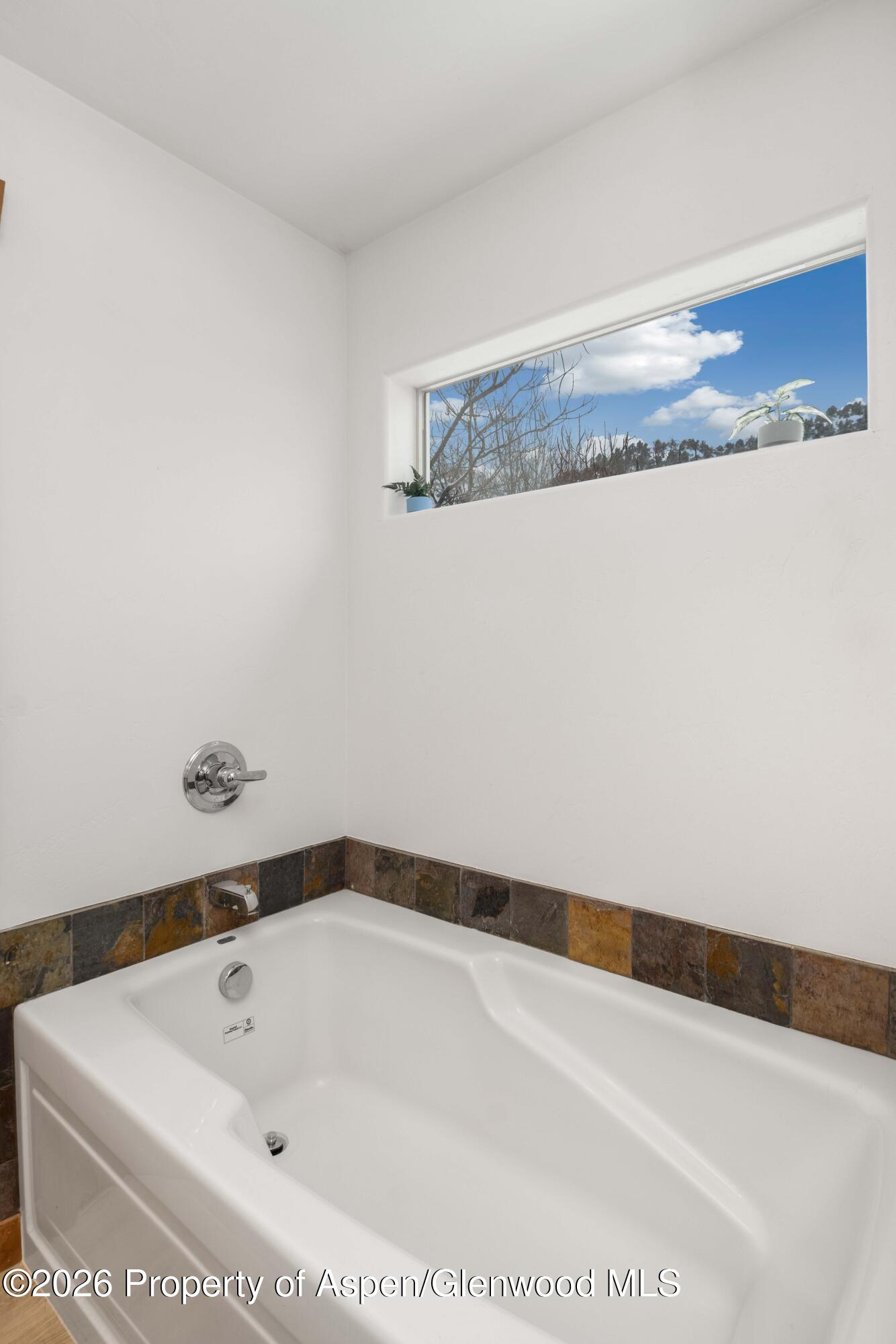 234 W Timber Creek Drive Glenwood Springs CO 81601