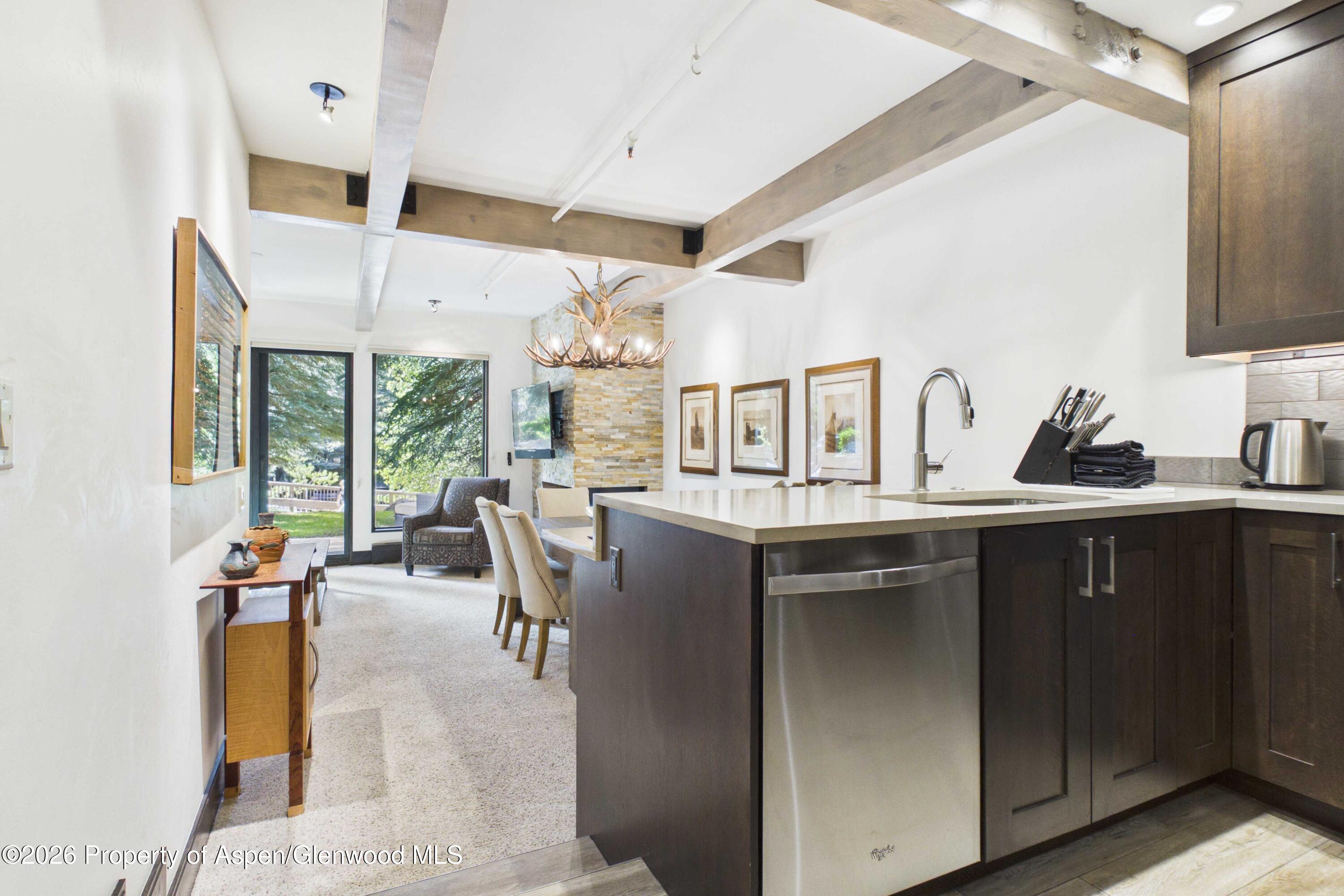 Aspen CO, 610 S West End Street, Unit E103