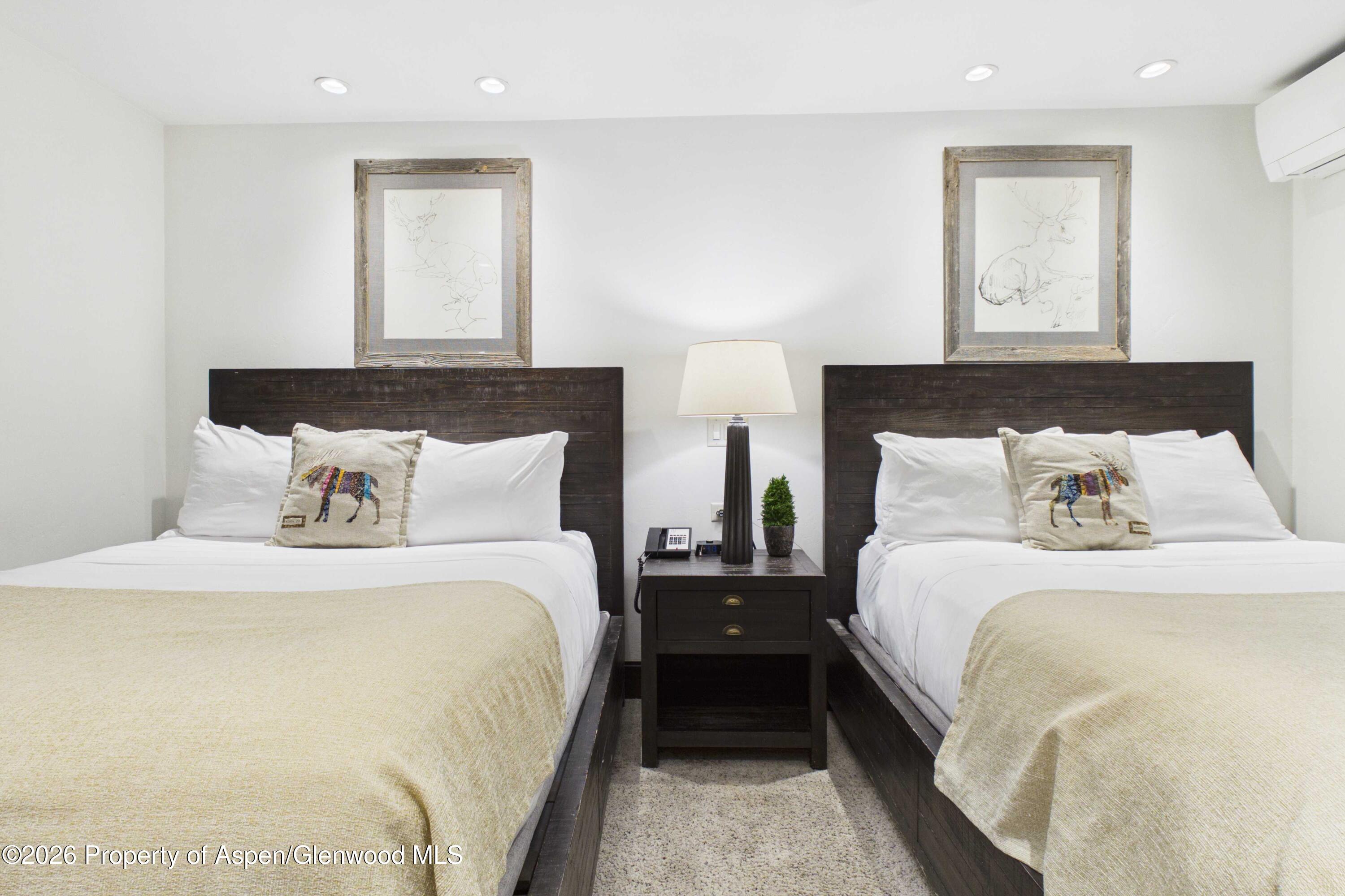 610 S West End Street Aspen CO 81611
