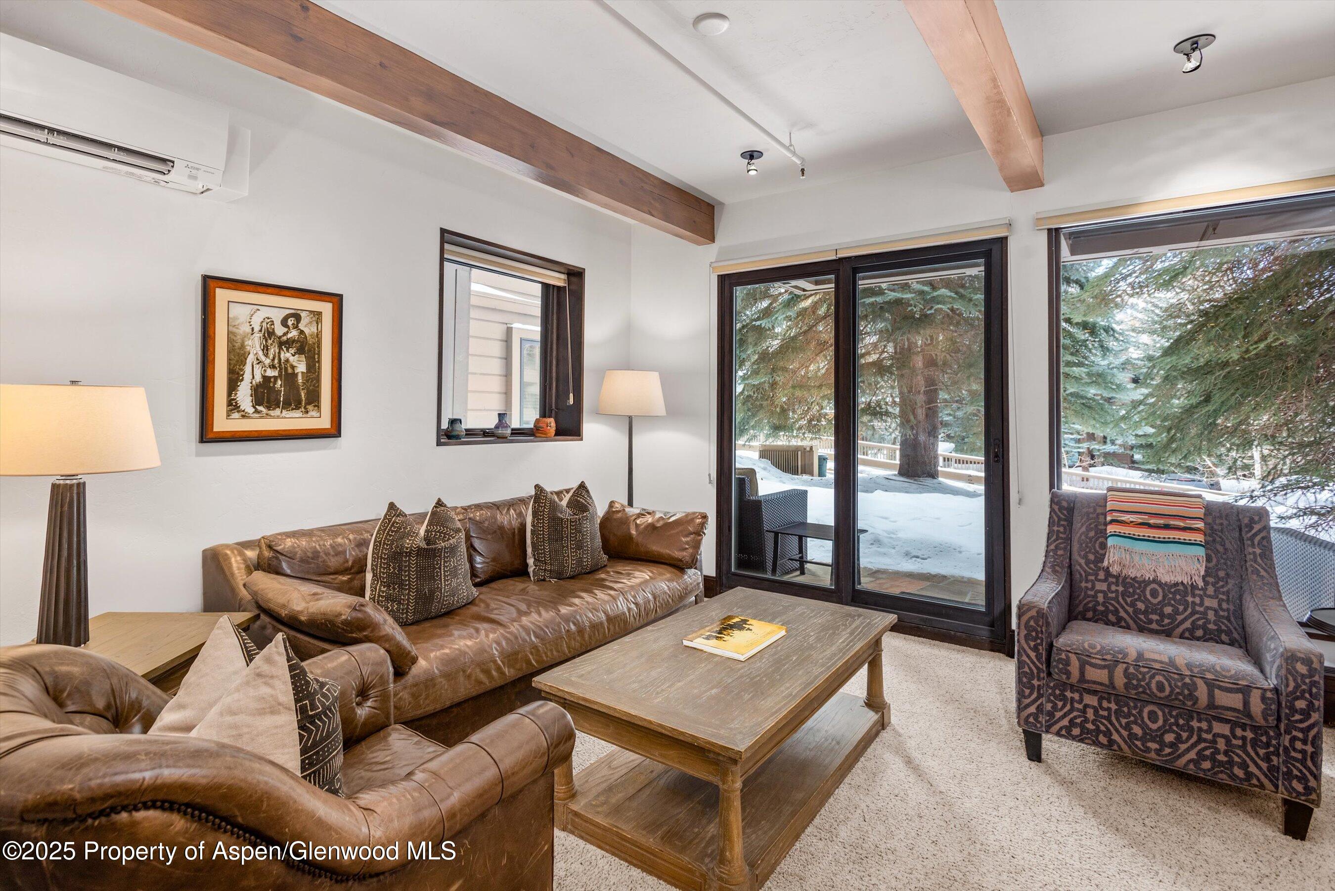 610 S West End Street Aspen CO 81611