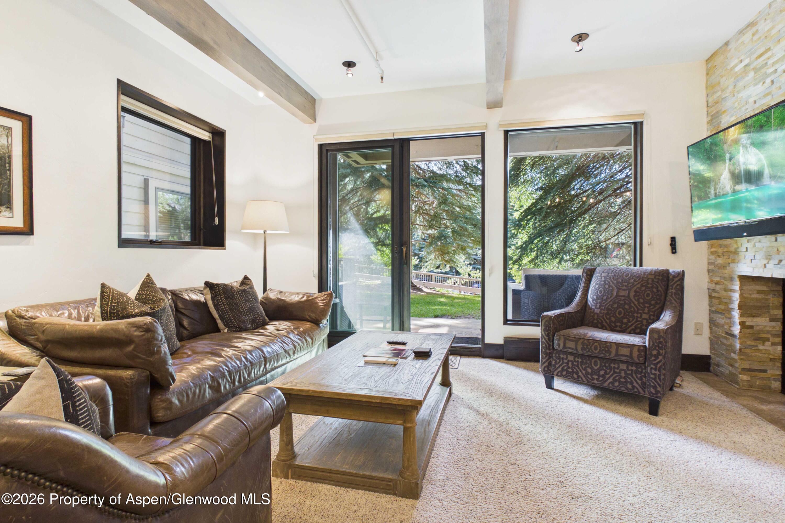 610 S West End Street Aspen CO 81611