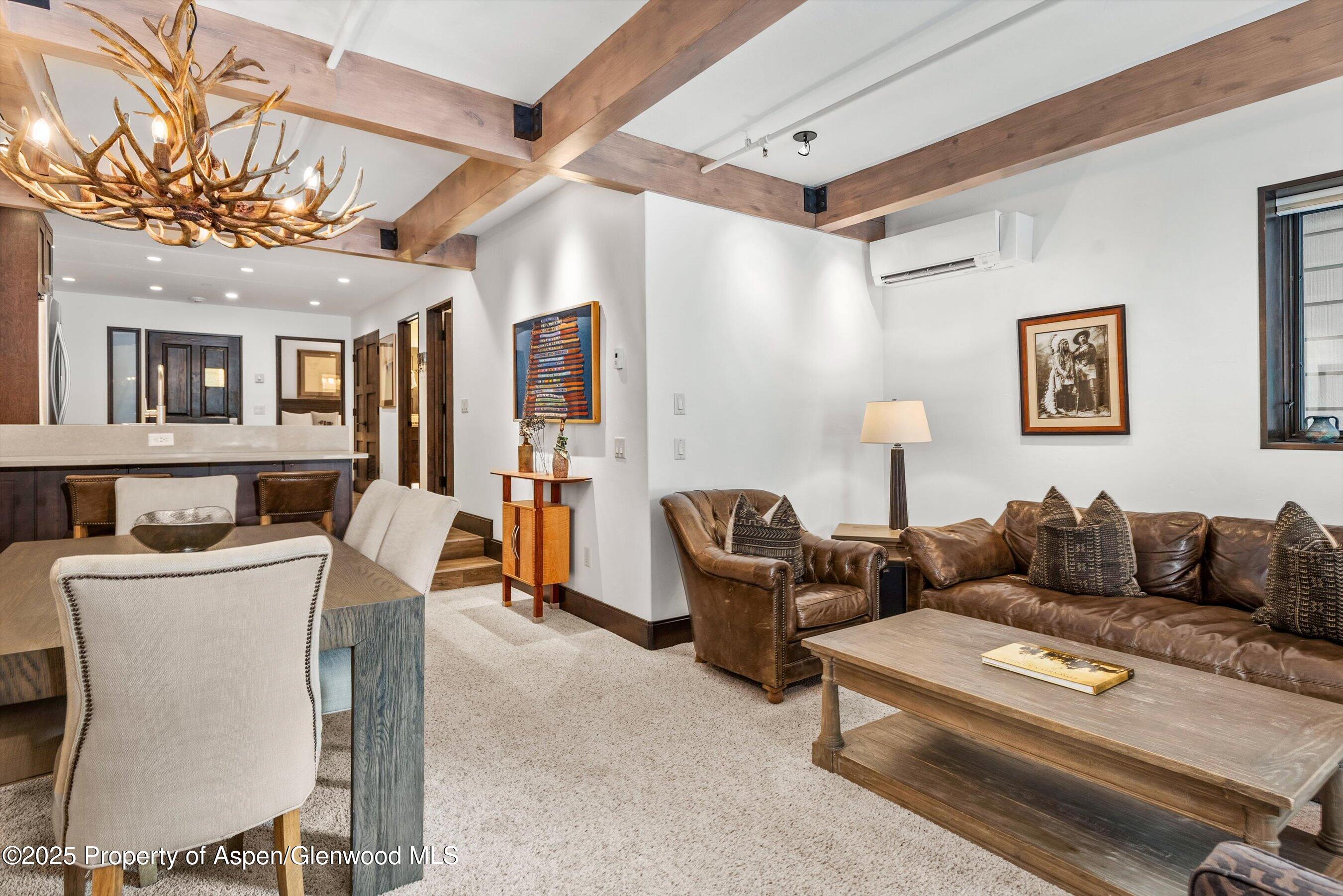 610 S West End Street Aspen CO 81611