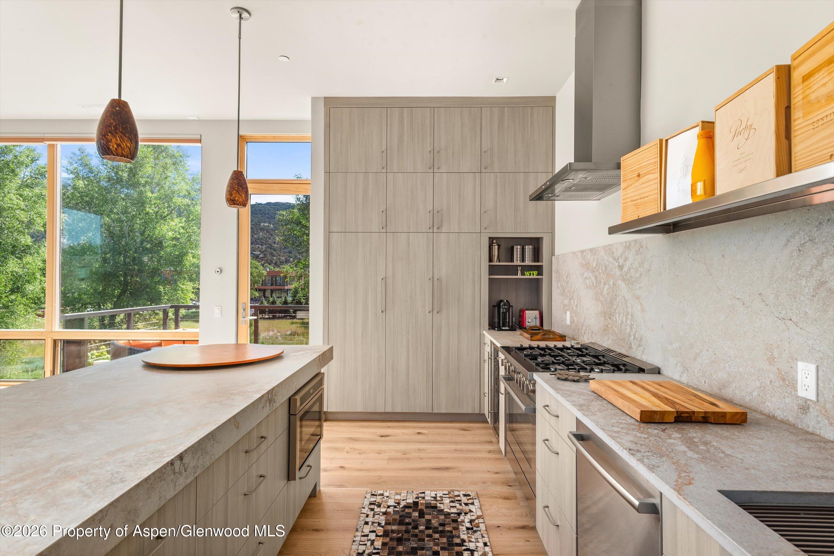 103 Willits Way Basalt CO 81621
