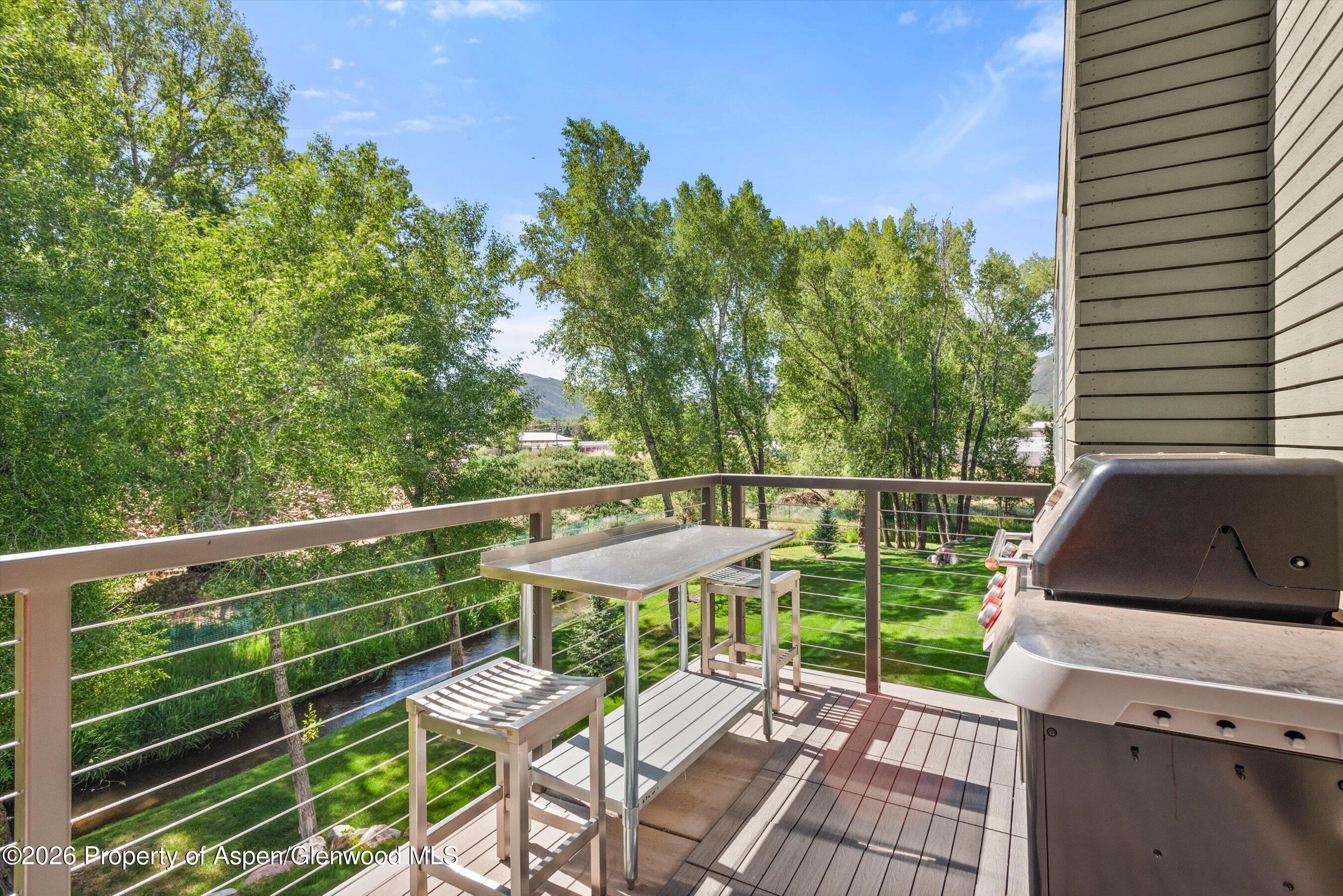 103 Willits Way Basalt CO 81621