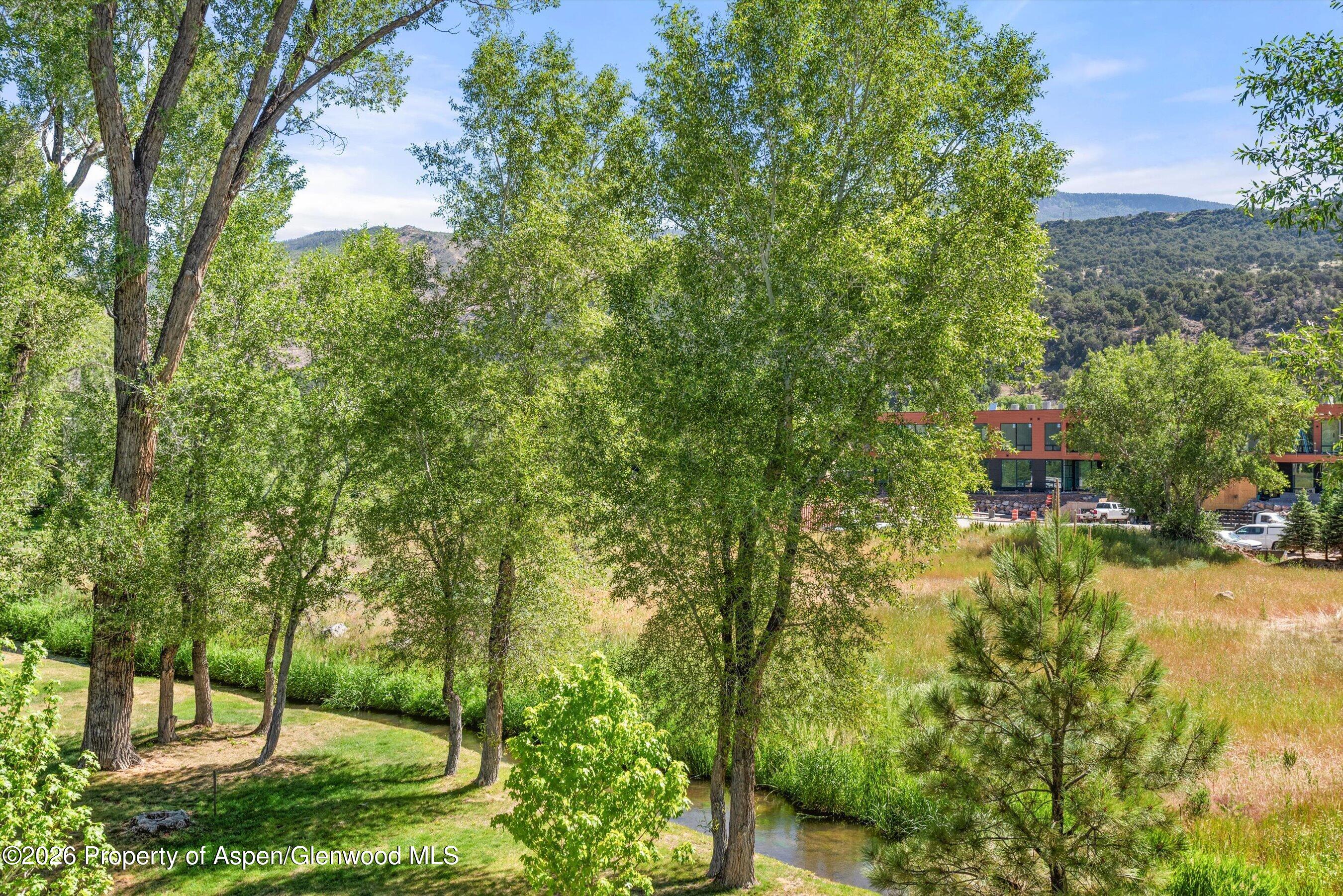 103 Willits Way Basalt CO 81621