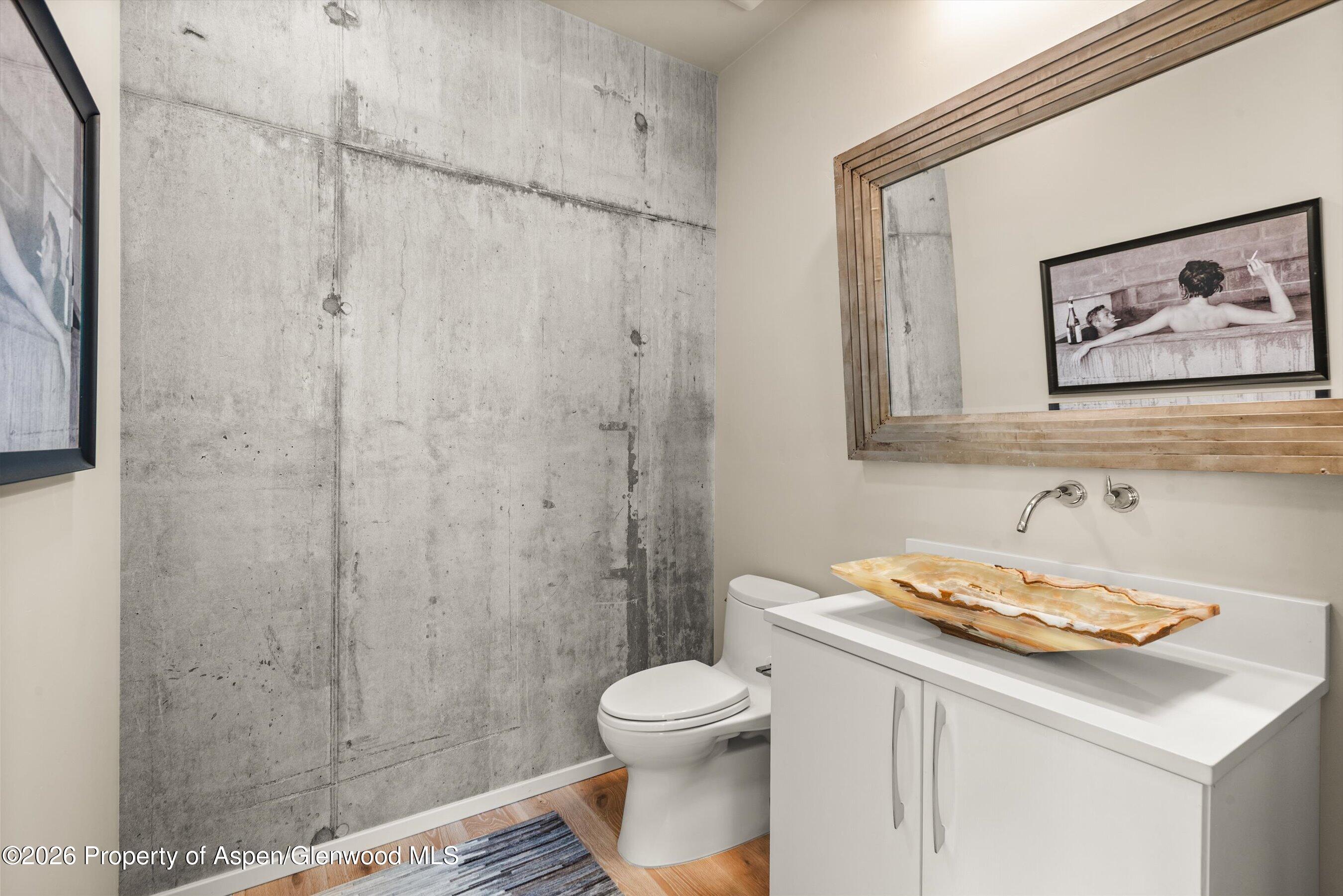 103 Willits Way Basalt CO 81621