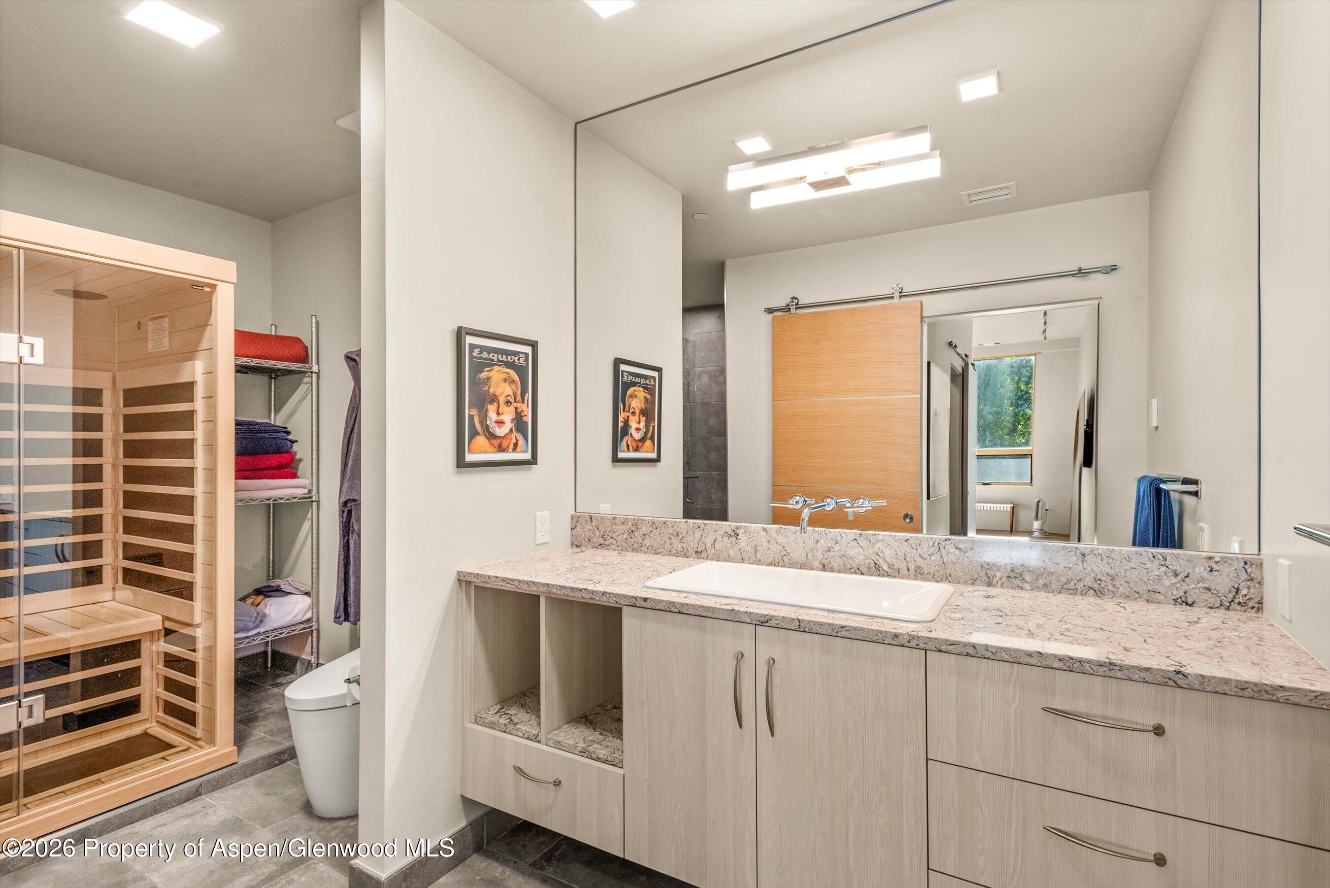 103 Willits Way Basalt CO 81621