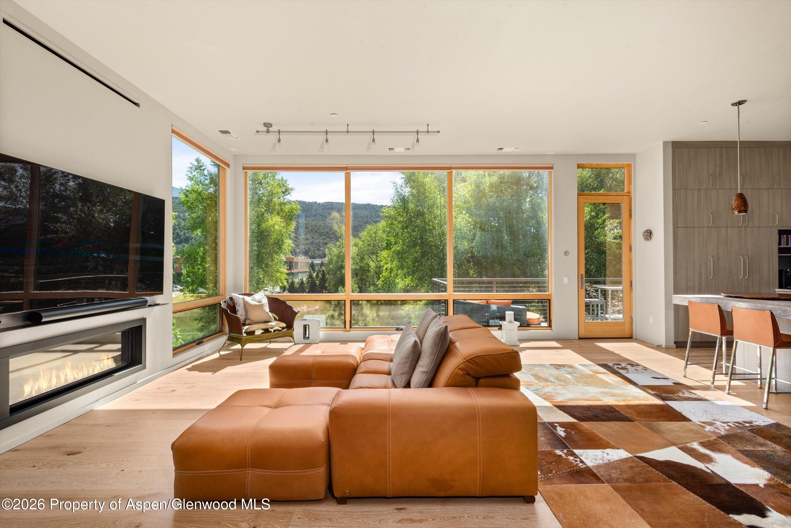 103 Willits Way Basalt CO 81621