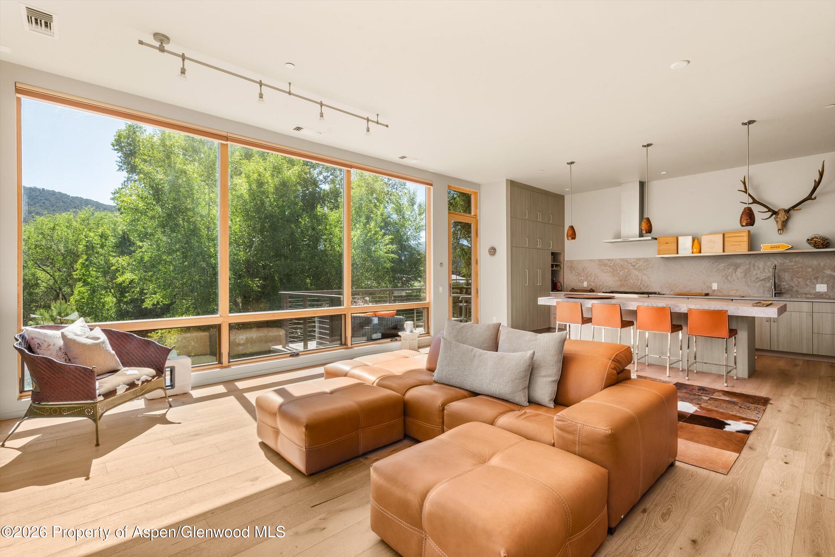 103 Willits Way Basalt CO 81621