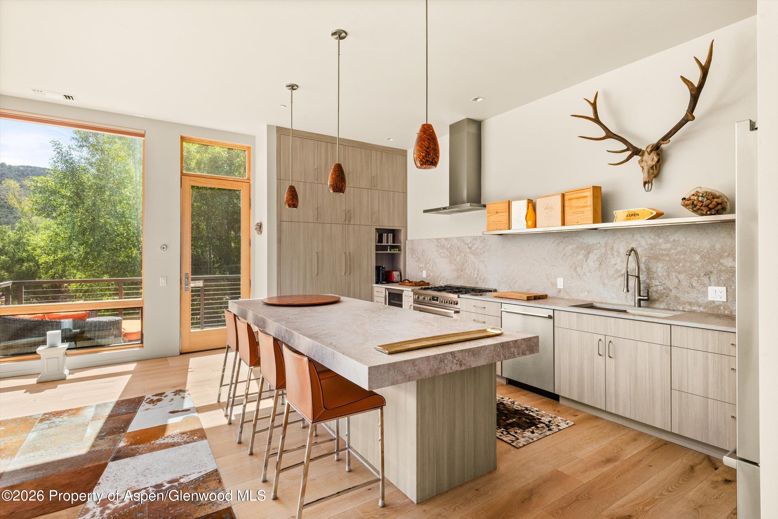 103 Willits Way Basalt CO 81621