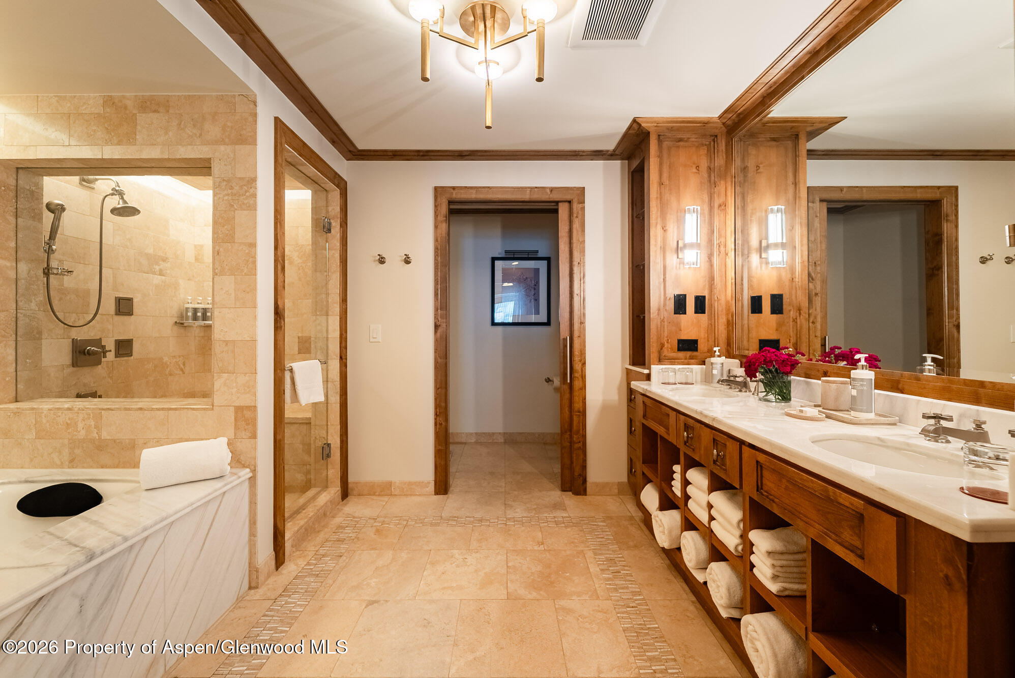 501 E Dean Street Aspen CO 81611
