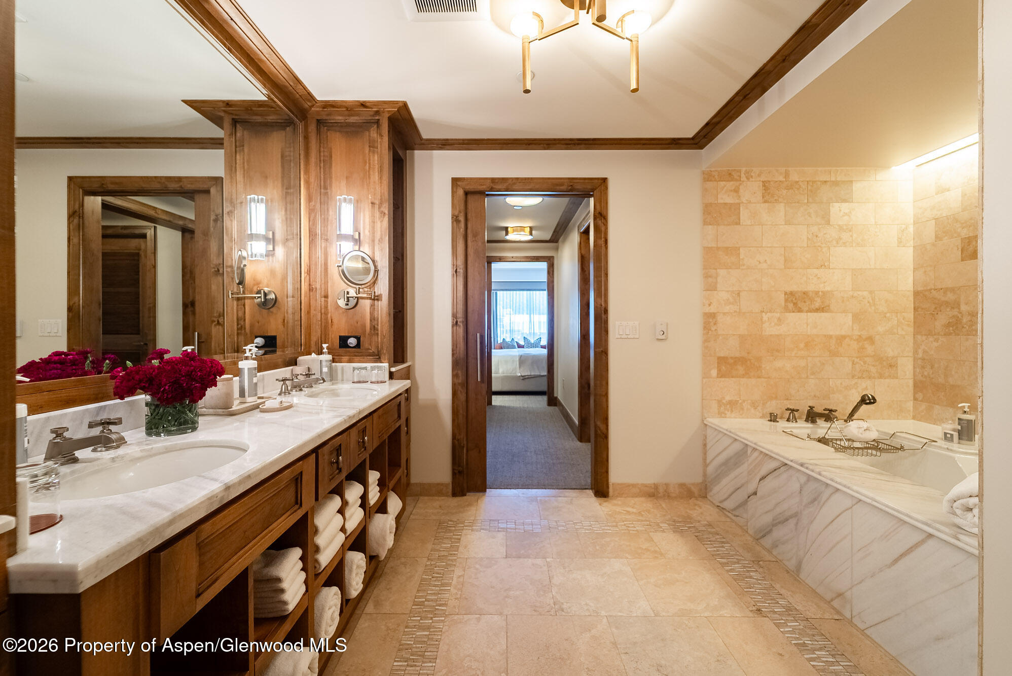501 E Dean Street Aspen CO 81611