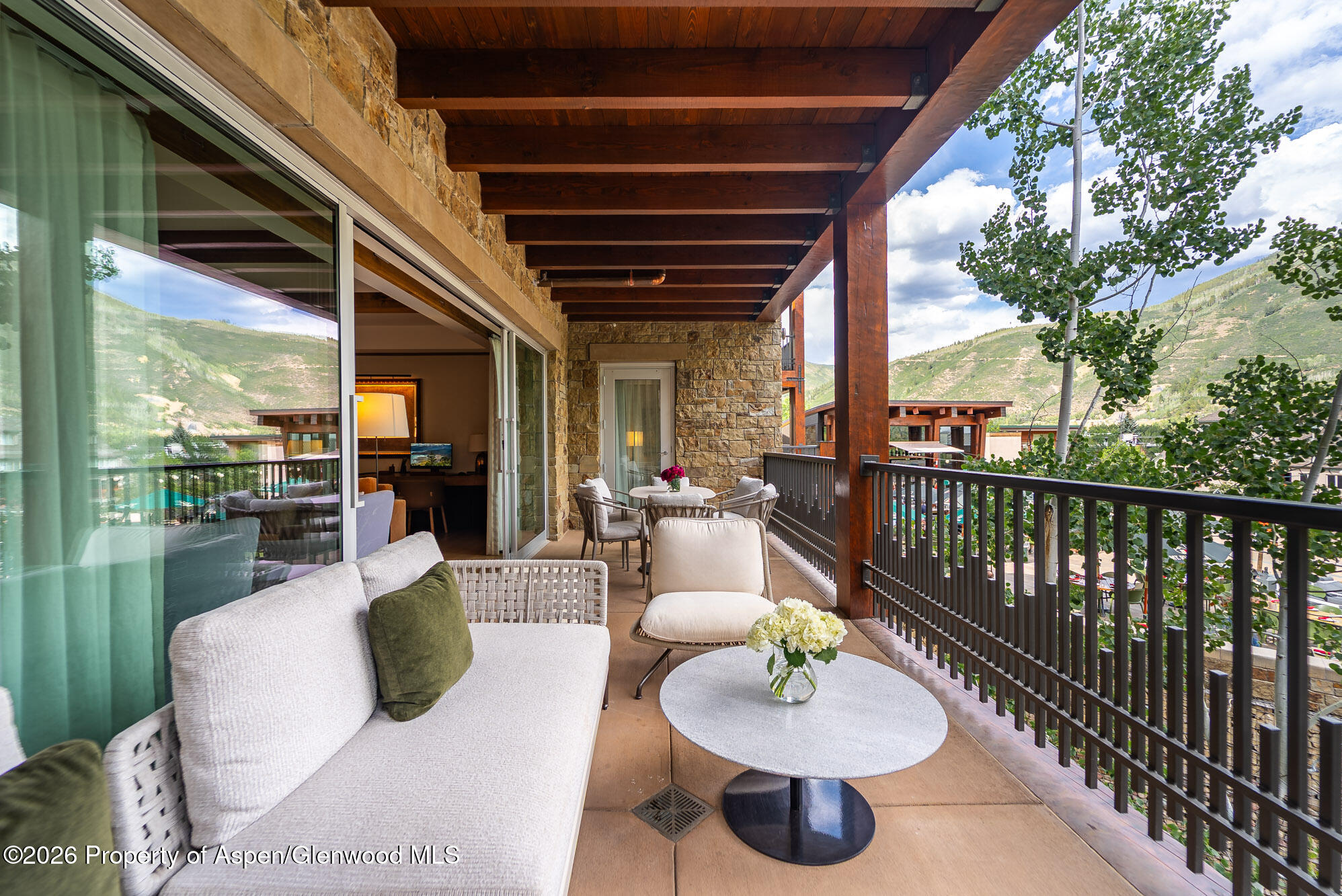 501 E Dean Street Aspen CO 81611