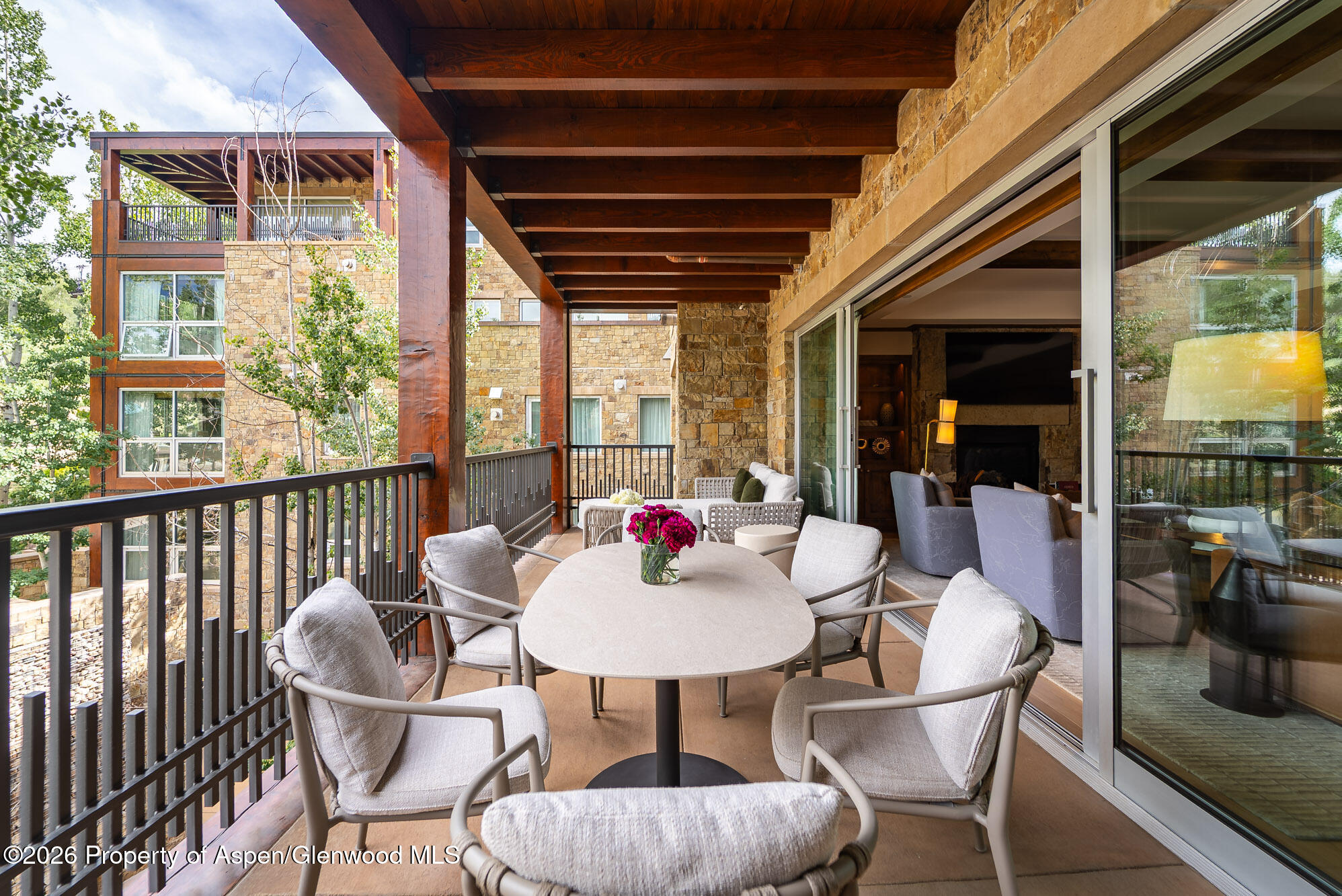 501 E Dean Street Aspen CO 81611