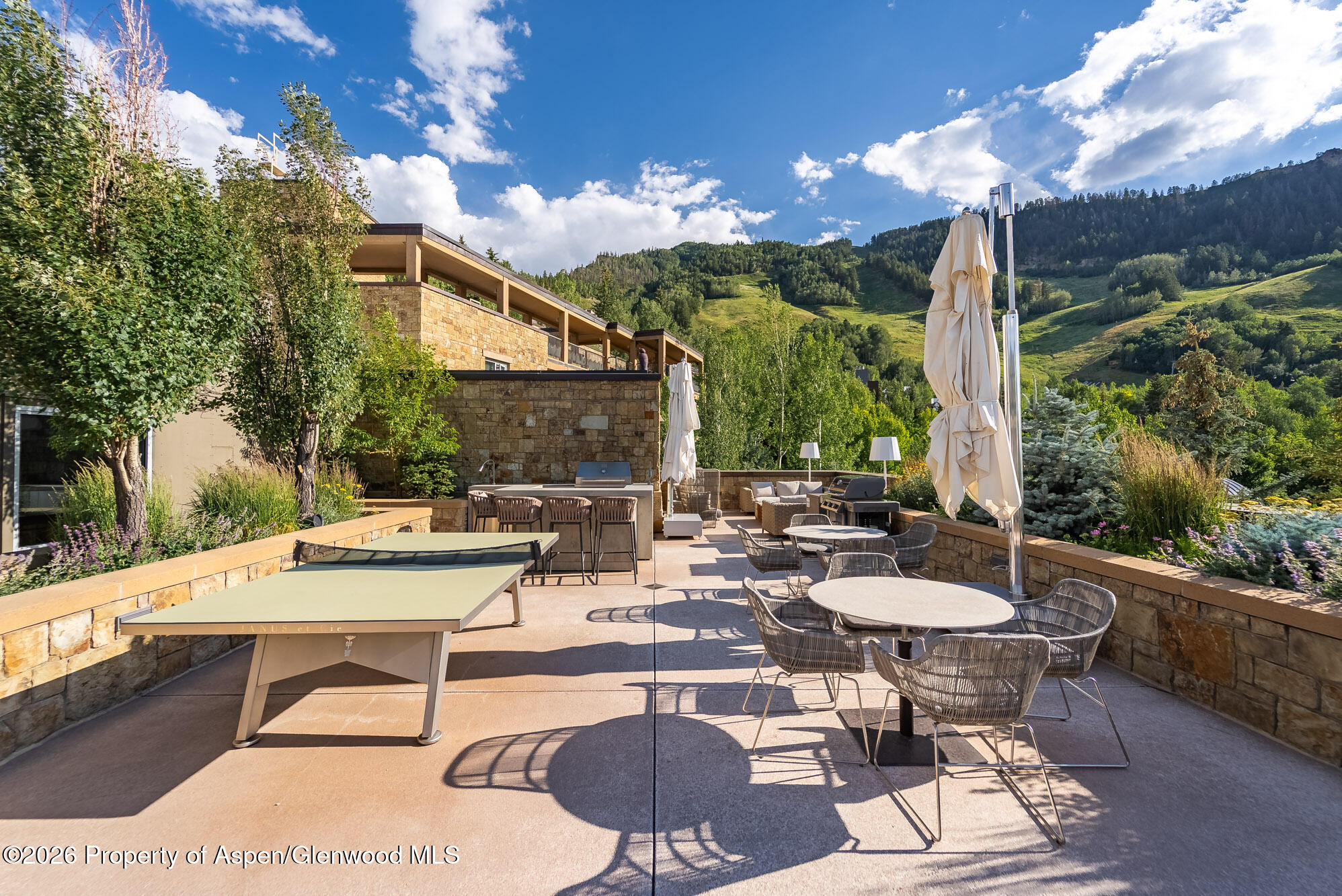 501 E Dean Street Aspen CO 81611