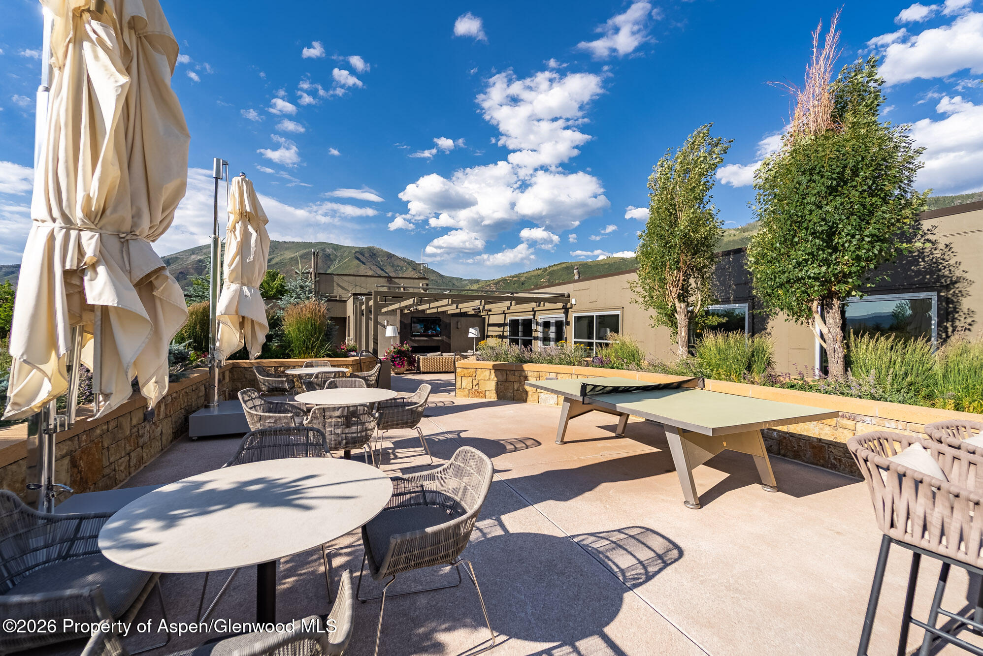 501 E Dean Street Aspen CO 81611