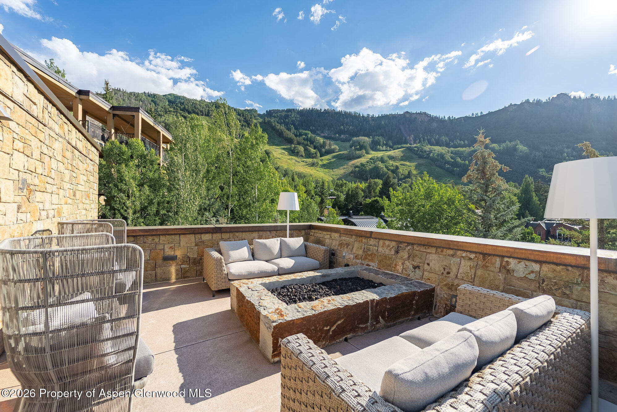 501 E Dean Street Aspen CO 81611