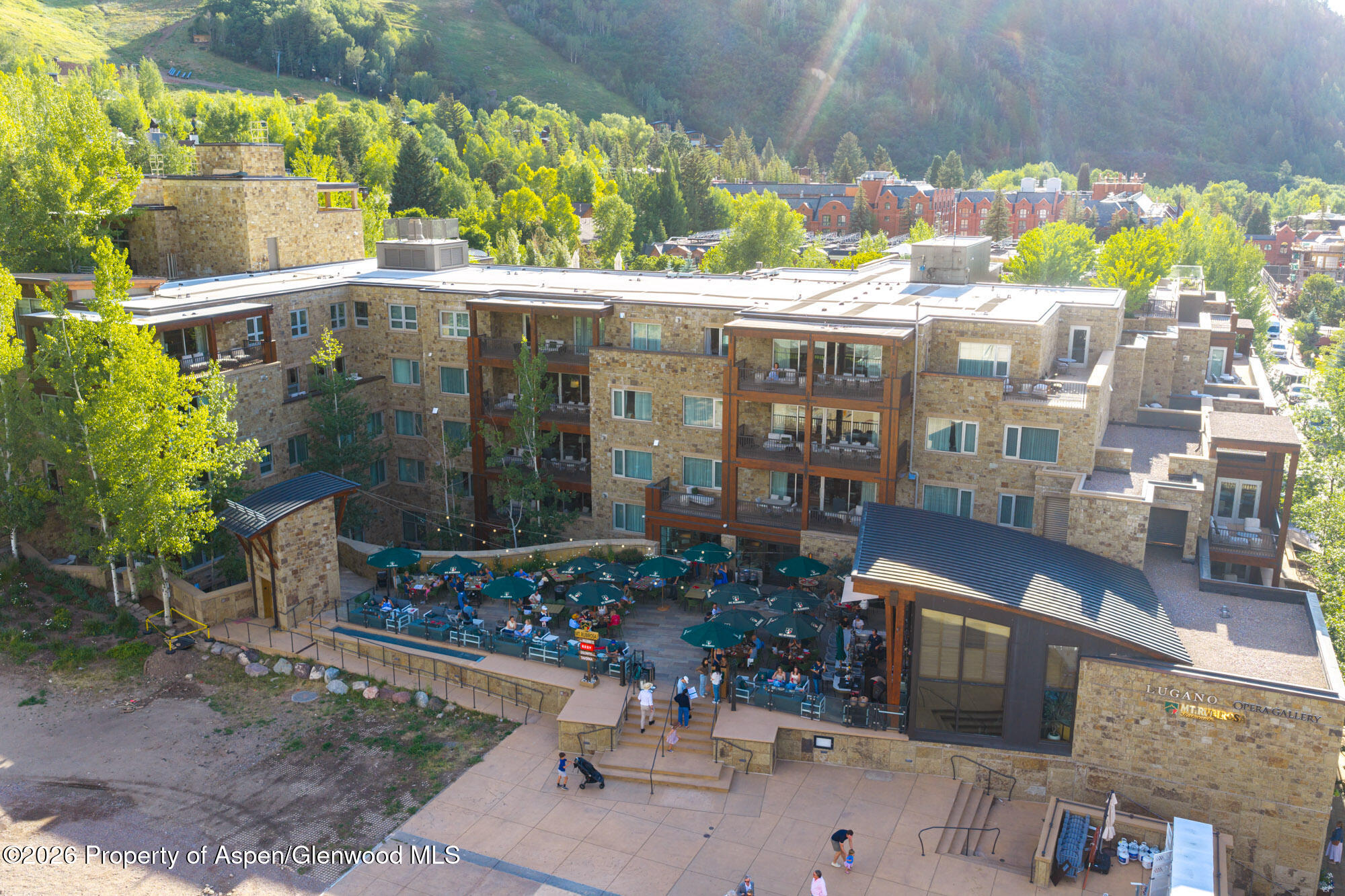 501 E Dean Street Aspen CO 81611