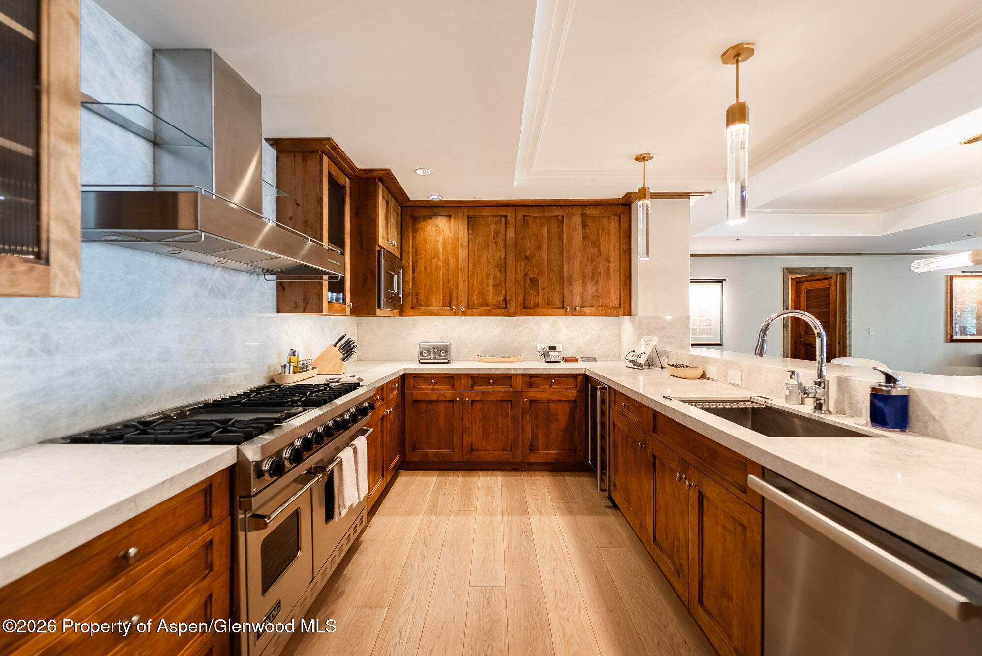 501 E Dean Street Aspen CO 81611