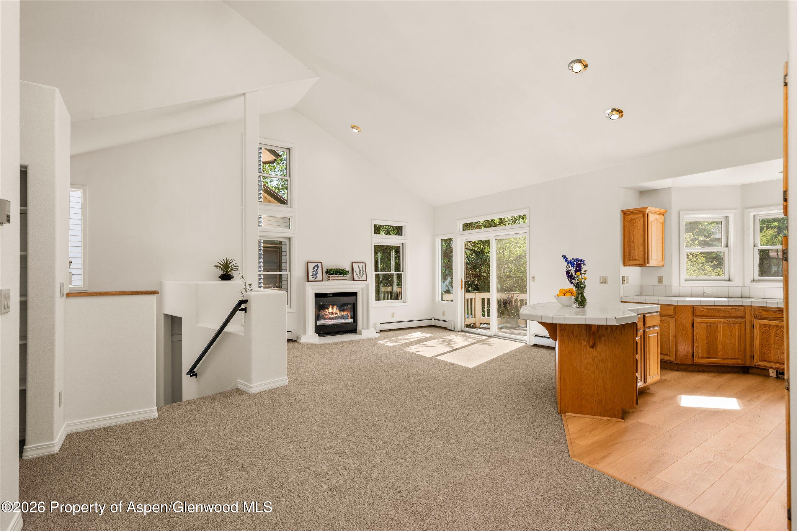 Basalt CO, 1524 Mockingbird Lane