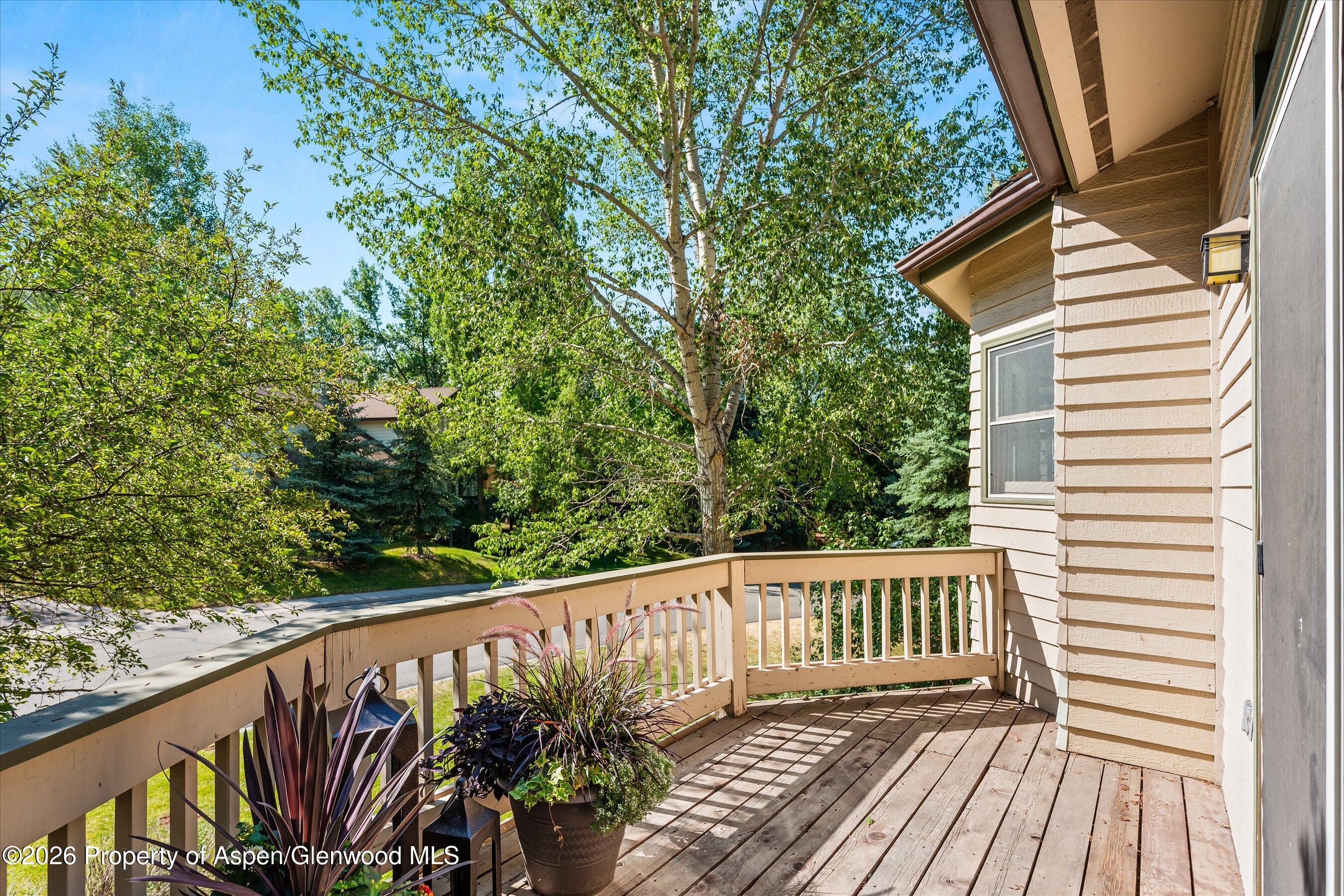 1524 Mockingbird Lane Basalt CO 81621
