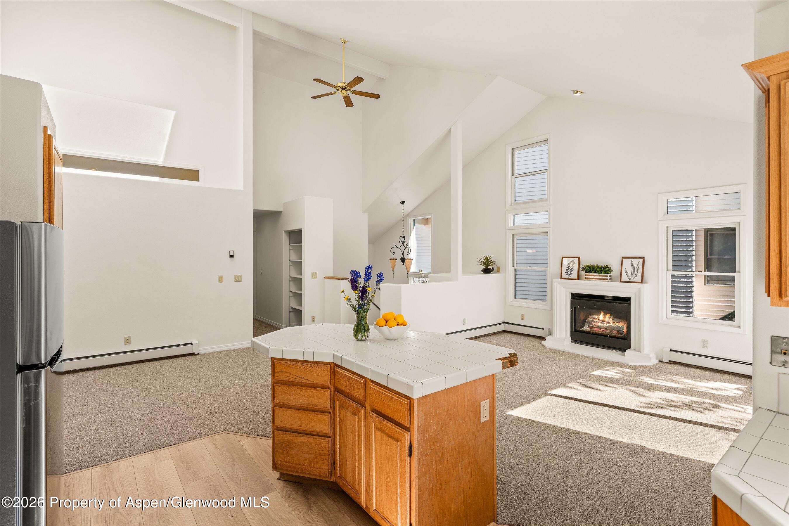 1524 Mockingbird Lane Basalt CO 81621