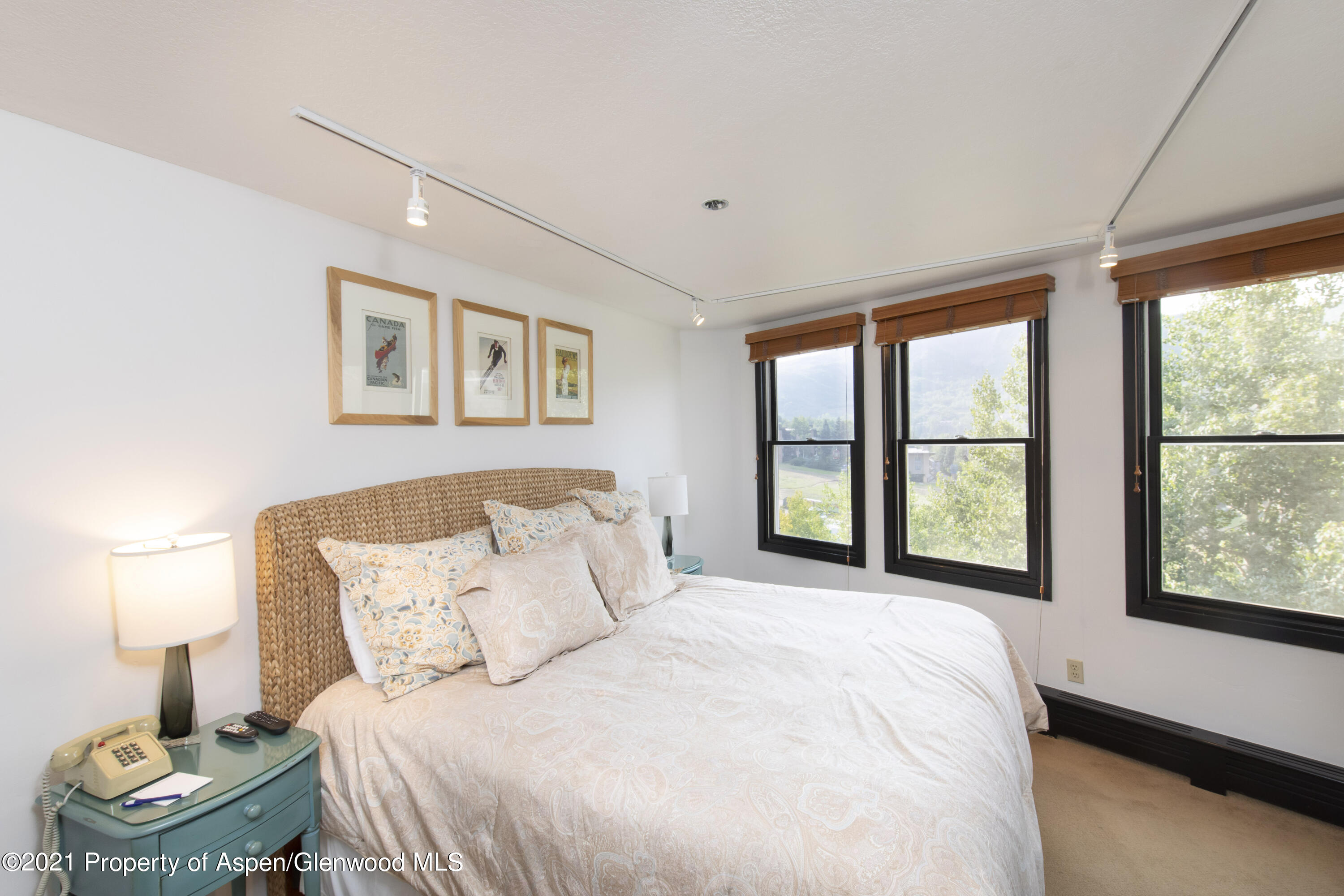 425 Wood Run Road Snowmass Village CO 81615