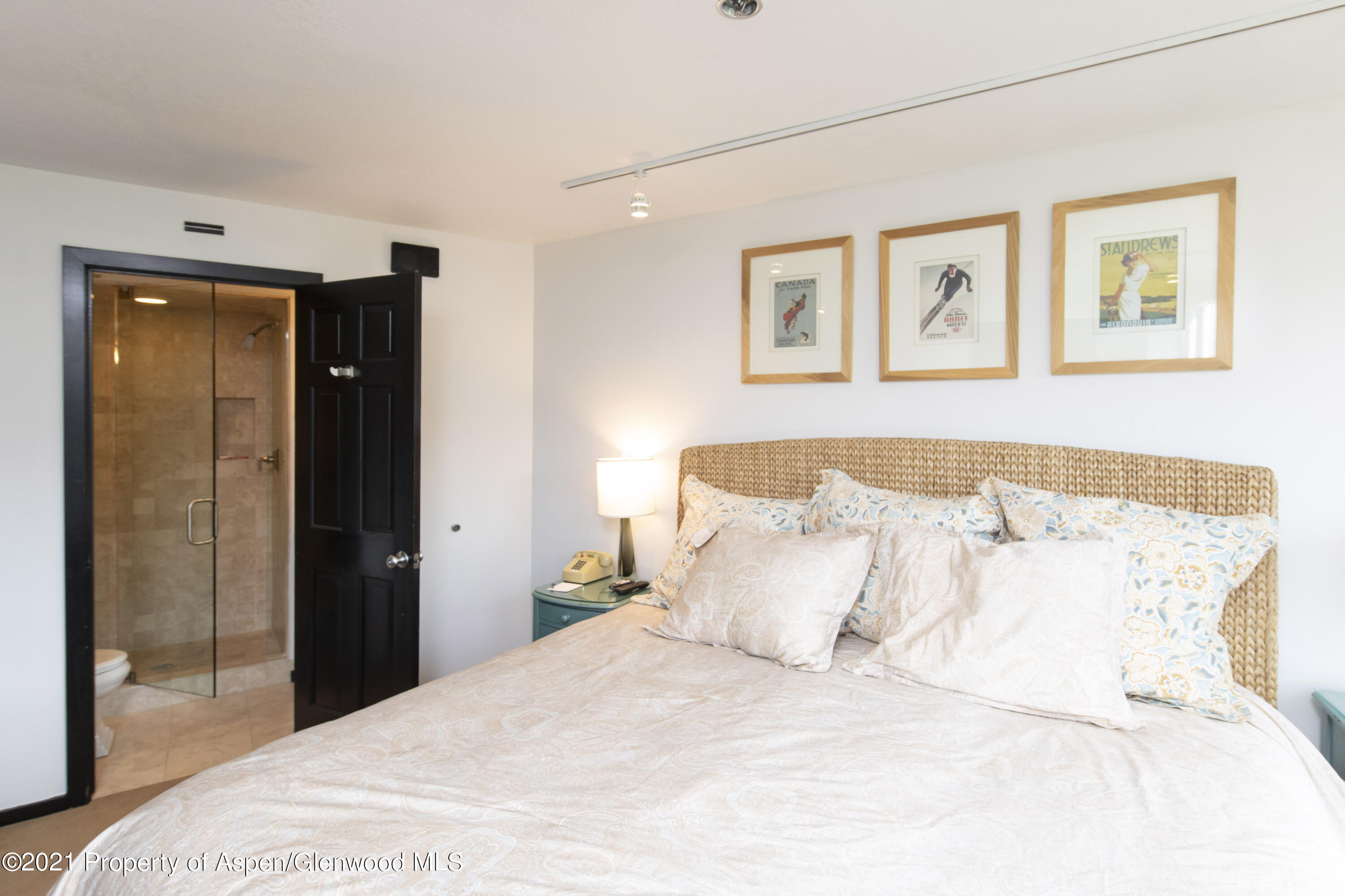 425 Wood Run Road Snowmass Village CO 81615