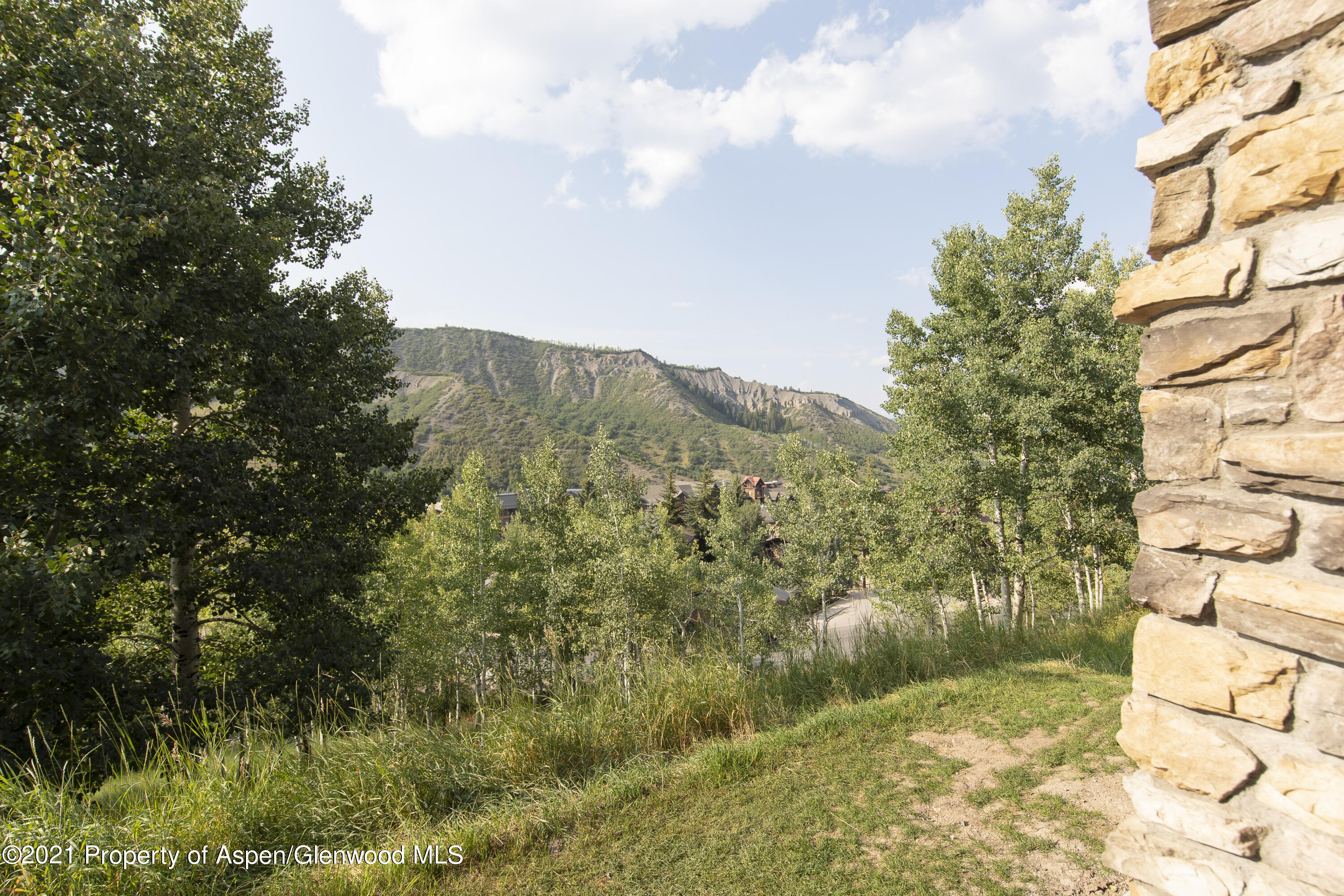 425 Wood Run Road Snowmass Village CO 81615