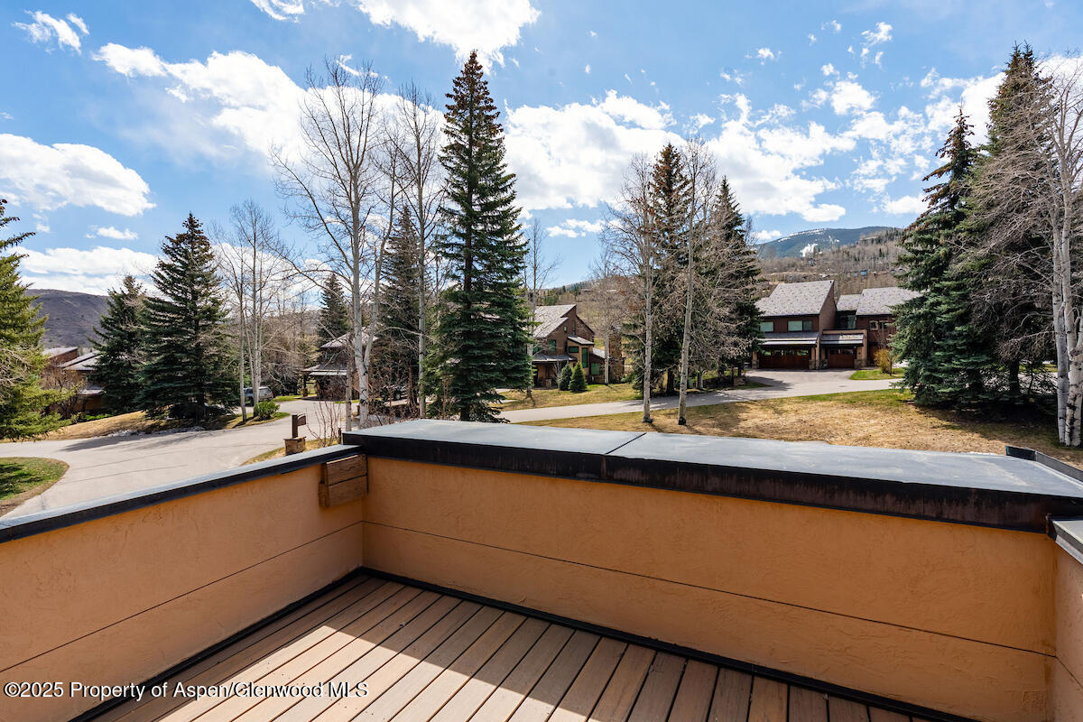 115 Harleston Green Snowmass Village CO 81615