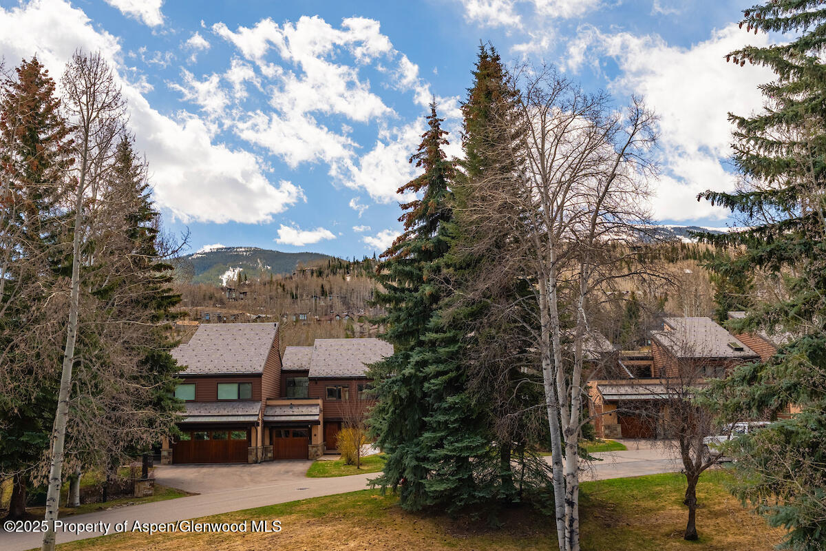 115 Harleston Green Snowmass Village CO 81615