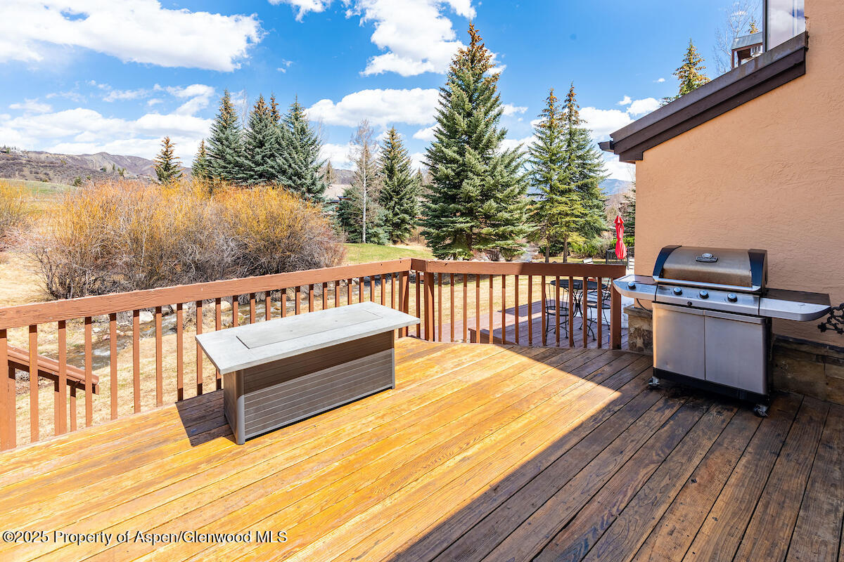 115 Harleston Green Snowmass Village CO 81615