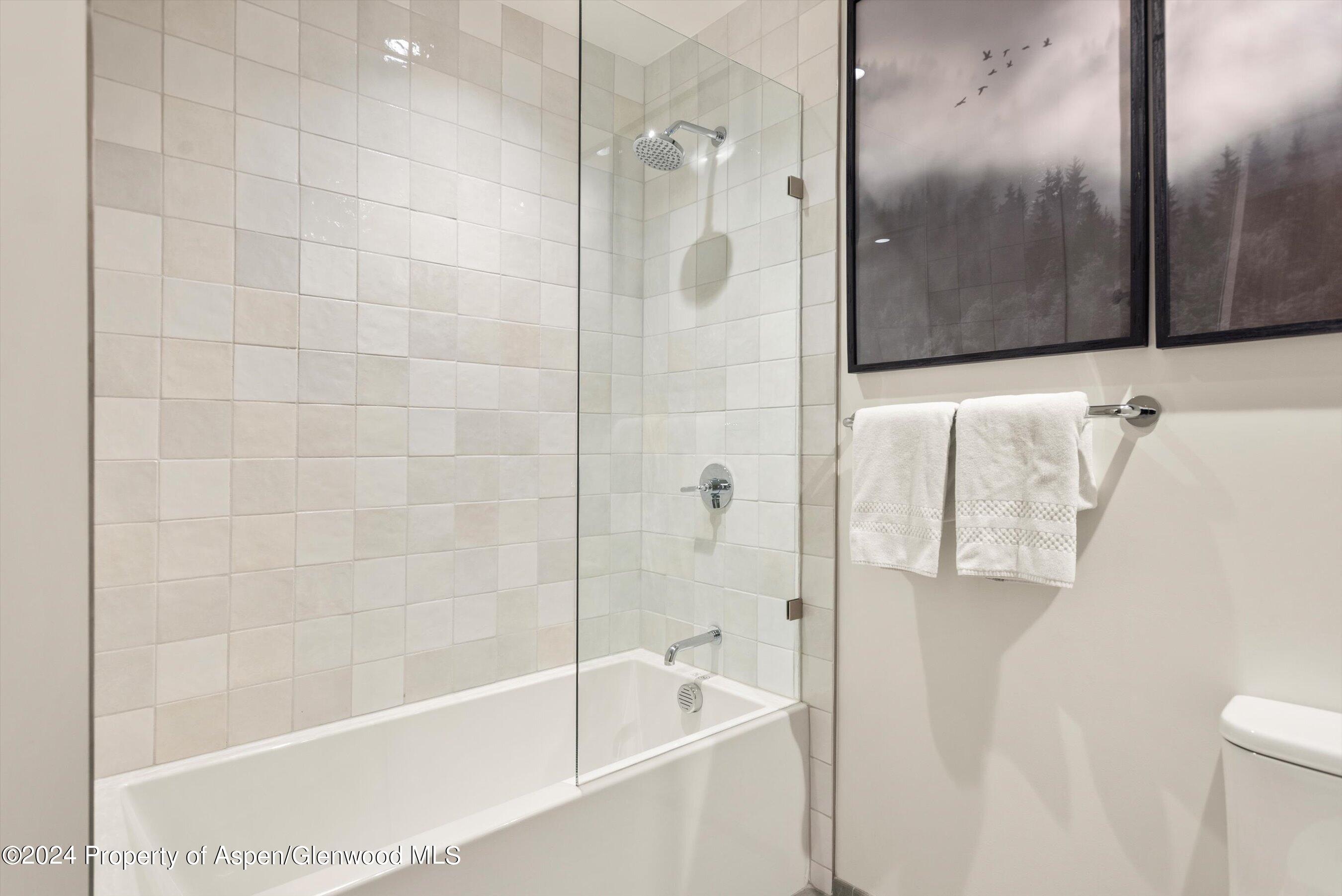 119 Wood Road Snowmass Village CO 81615