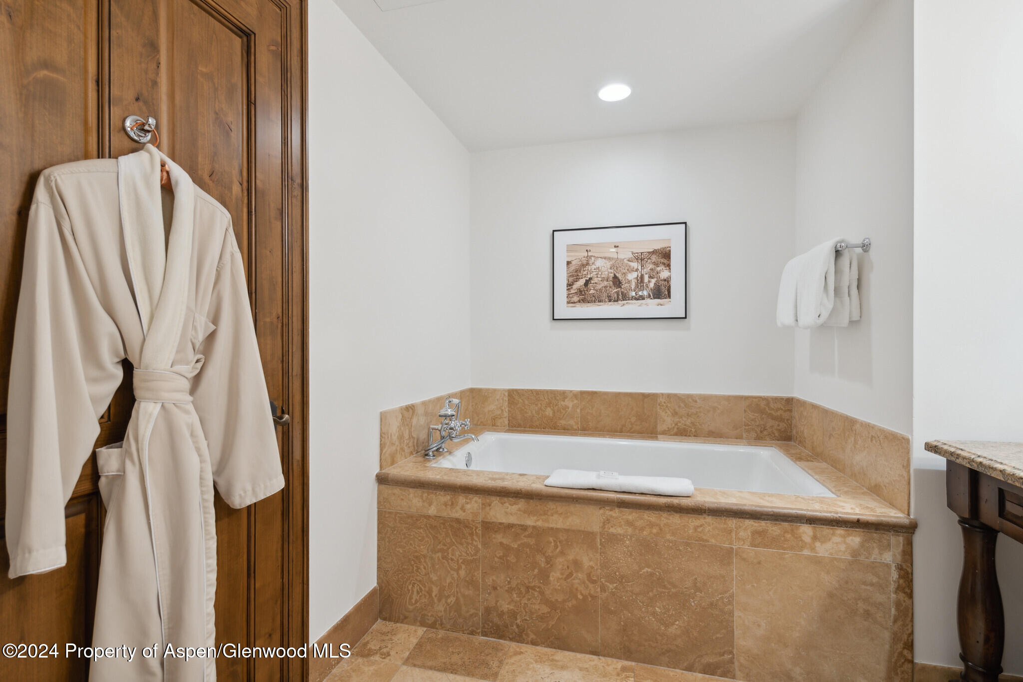 415 E Dean St, Unit 10, Wks 32 & 33 Aspen CO 81611