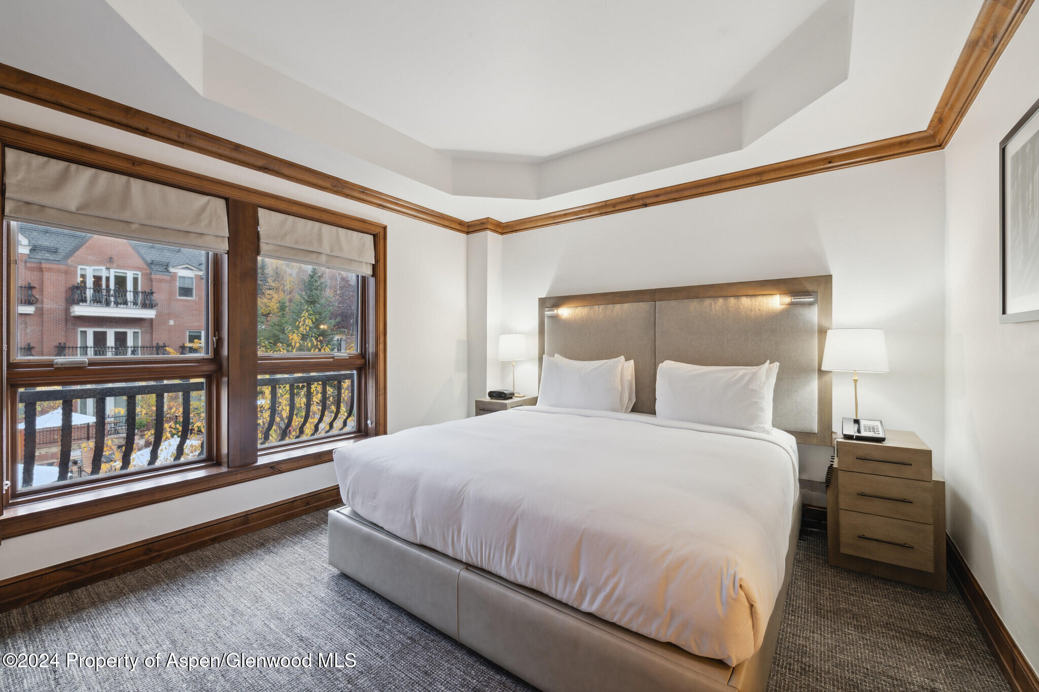 415 E Dean St, Unit 10, Wks 32 & 33 Aspen CO 81611