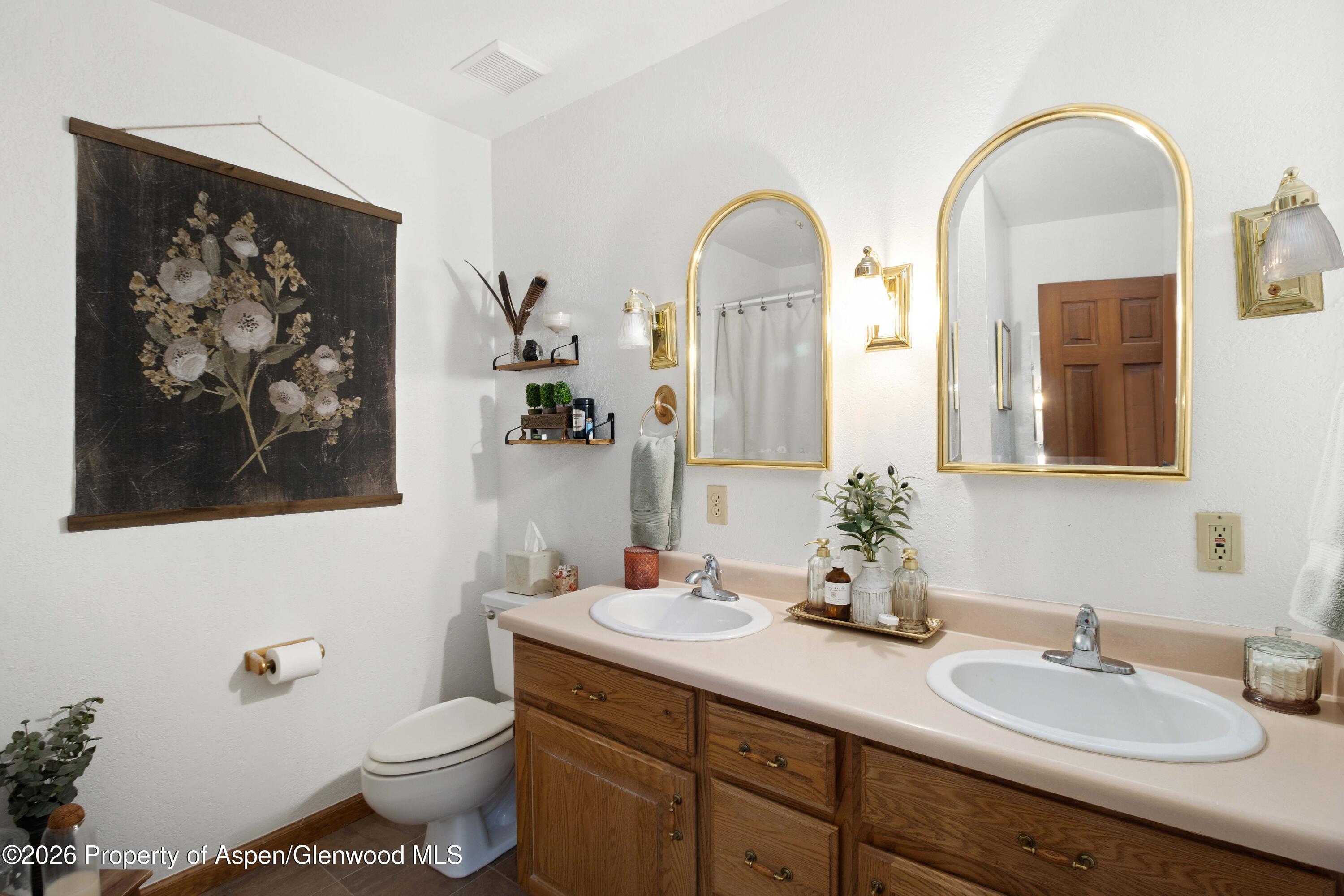 56 Sagewood Court Basalt CO 81621