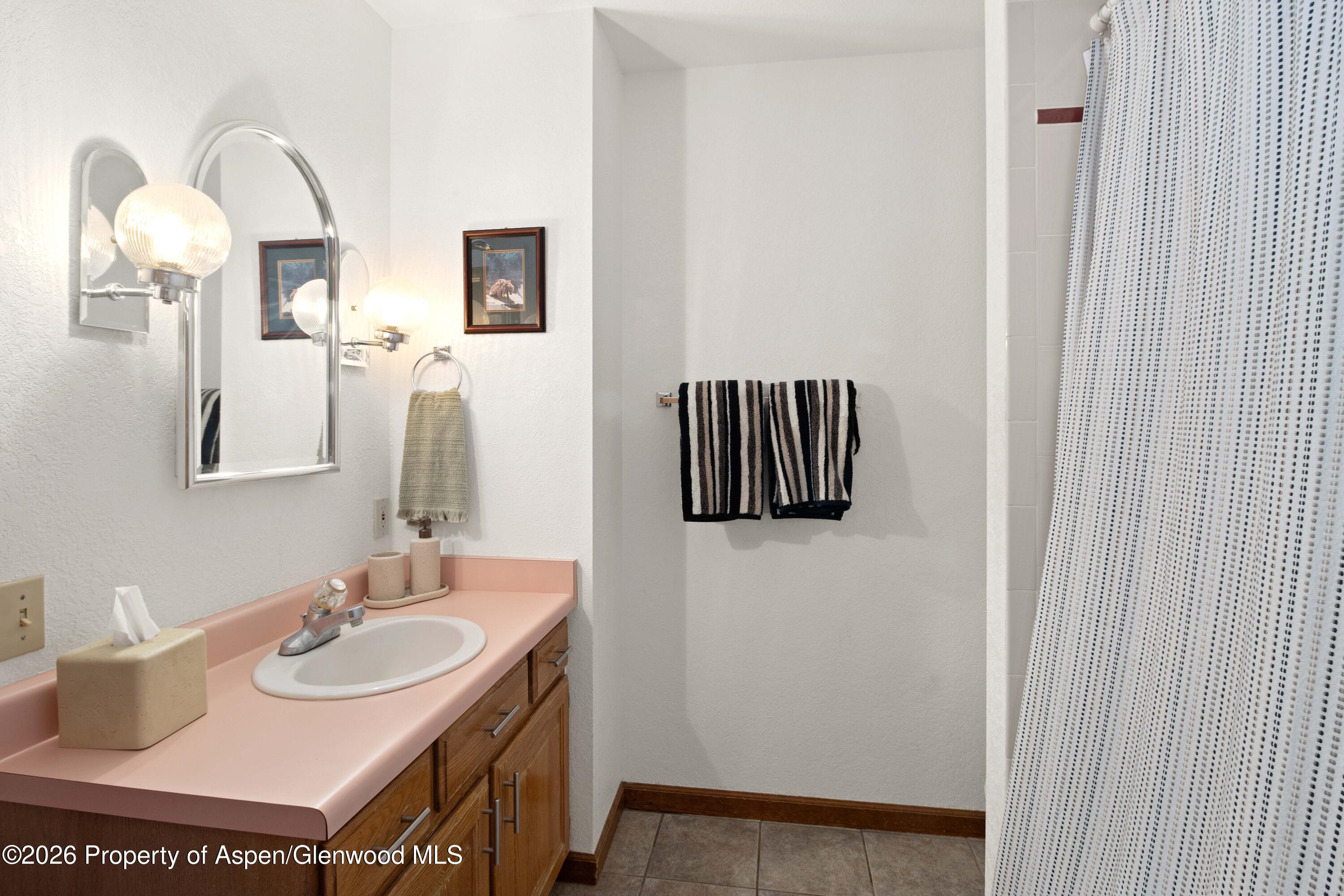 56 Sagewood Court Basalt CO 81621