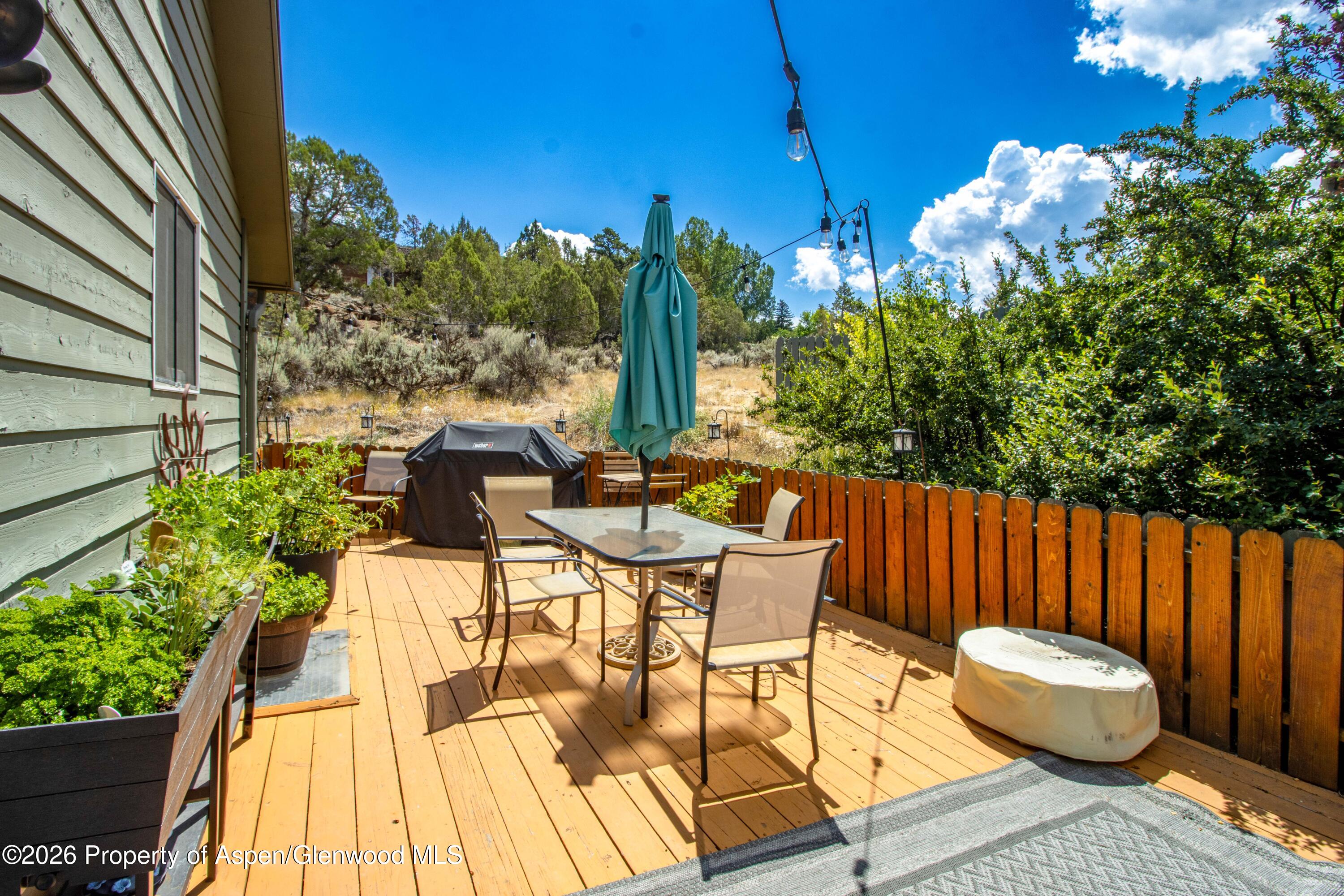 56 Sagewood Court Basalt CO 81621
