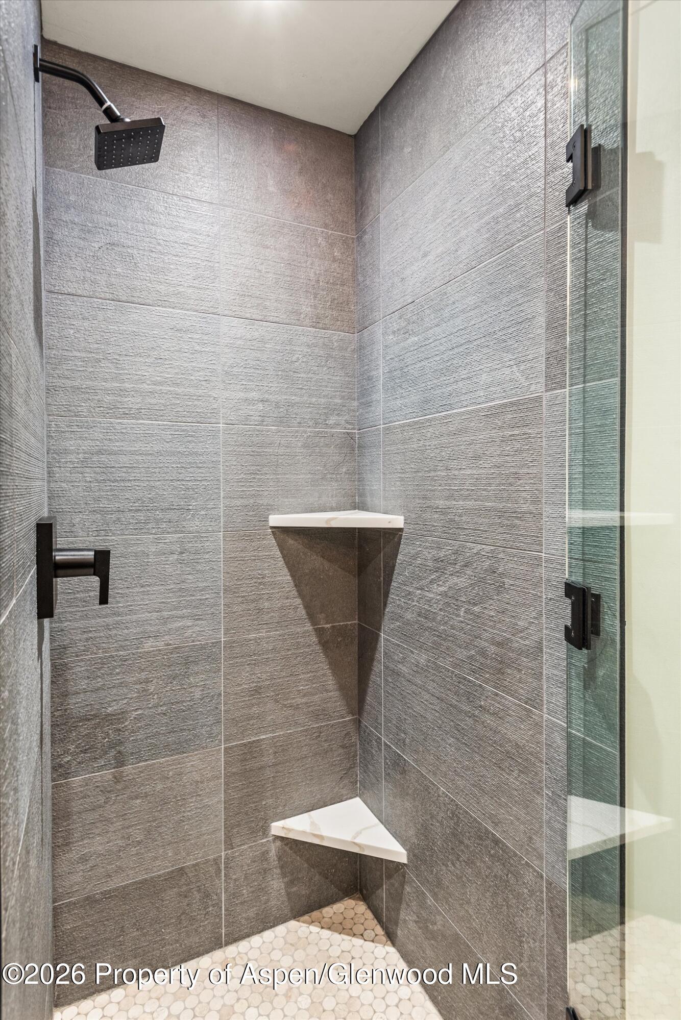 3207 Elk Lane Basalt CO 81621